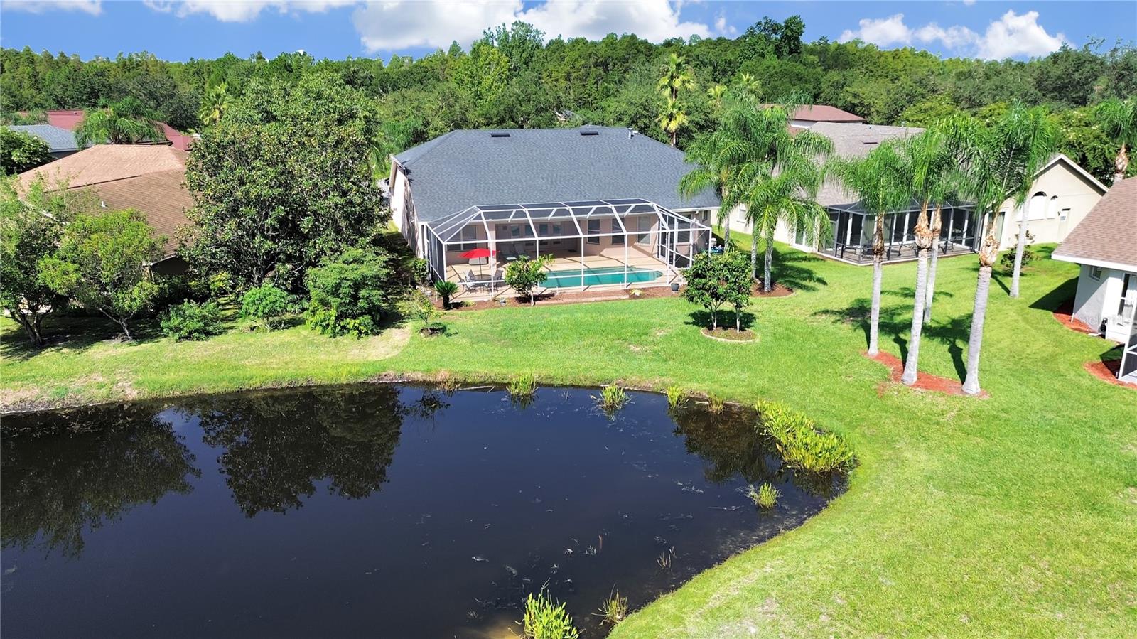 pond view