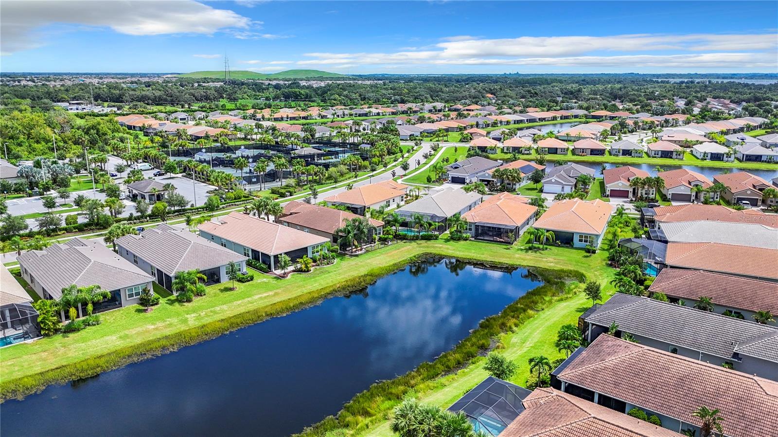 Aerial Pond Views