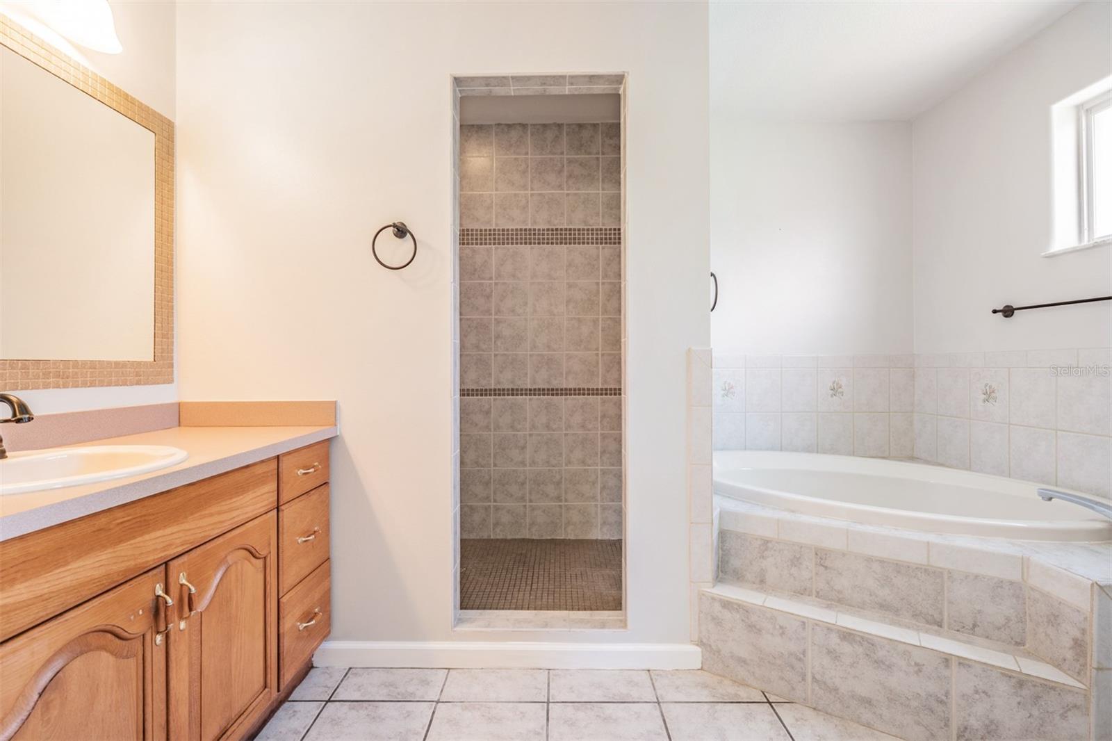 Stunning shower and separate soaking tub