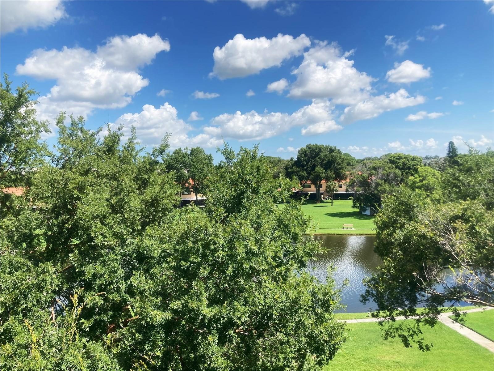 View from bedroom window