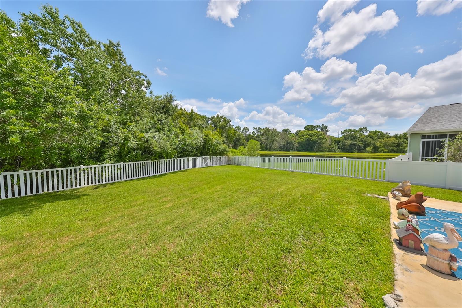 Yard with Pond behind fencing