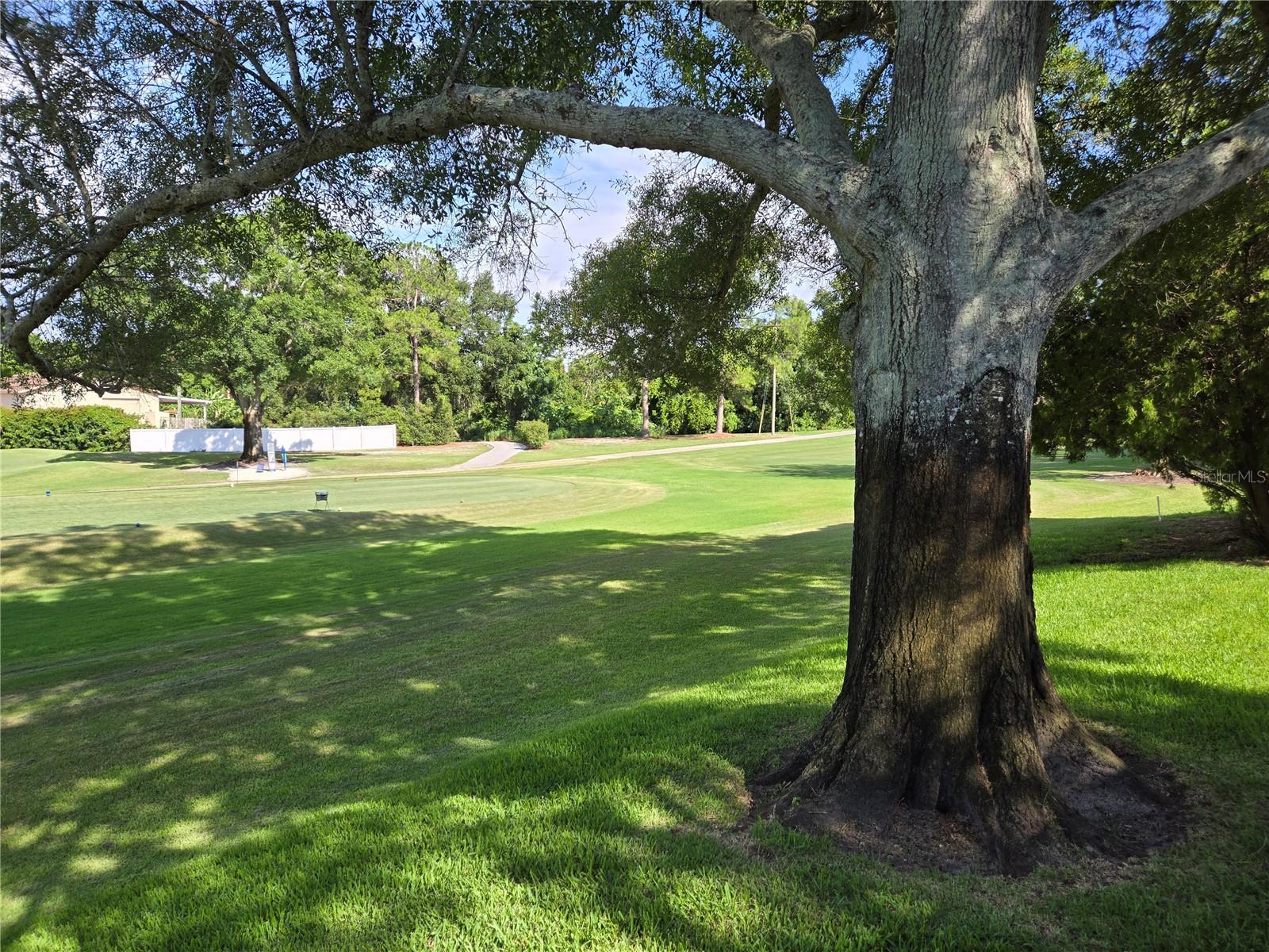 View of 5th hole tee box on Blue