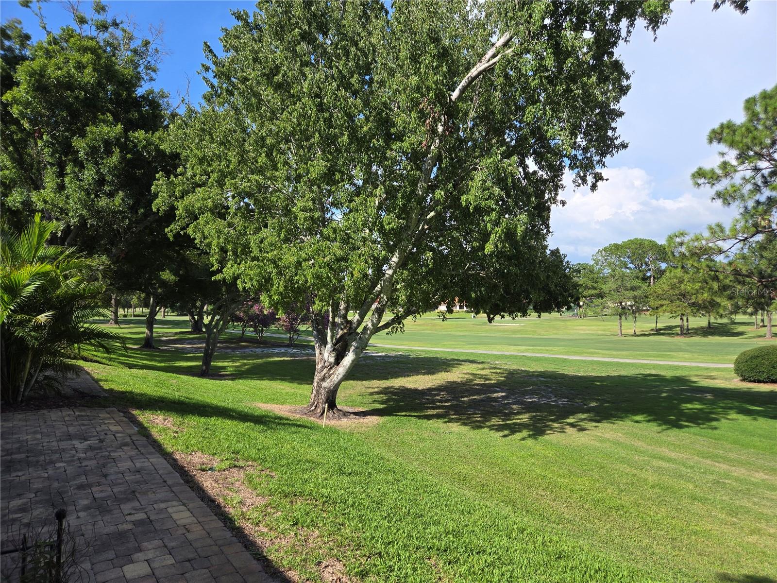 View of 4th hole fairway