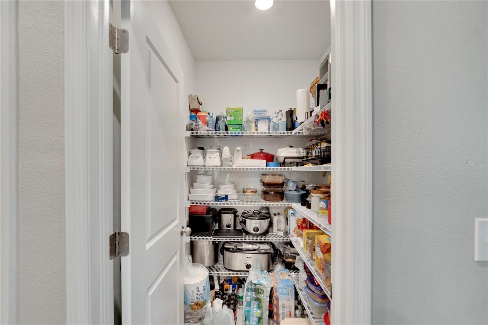 Large Walk-in Pantry