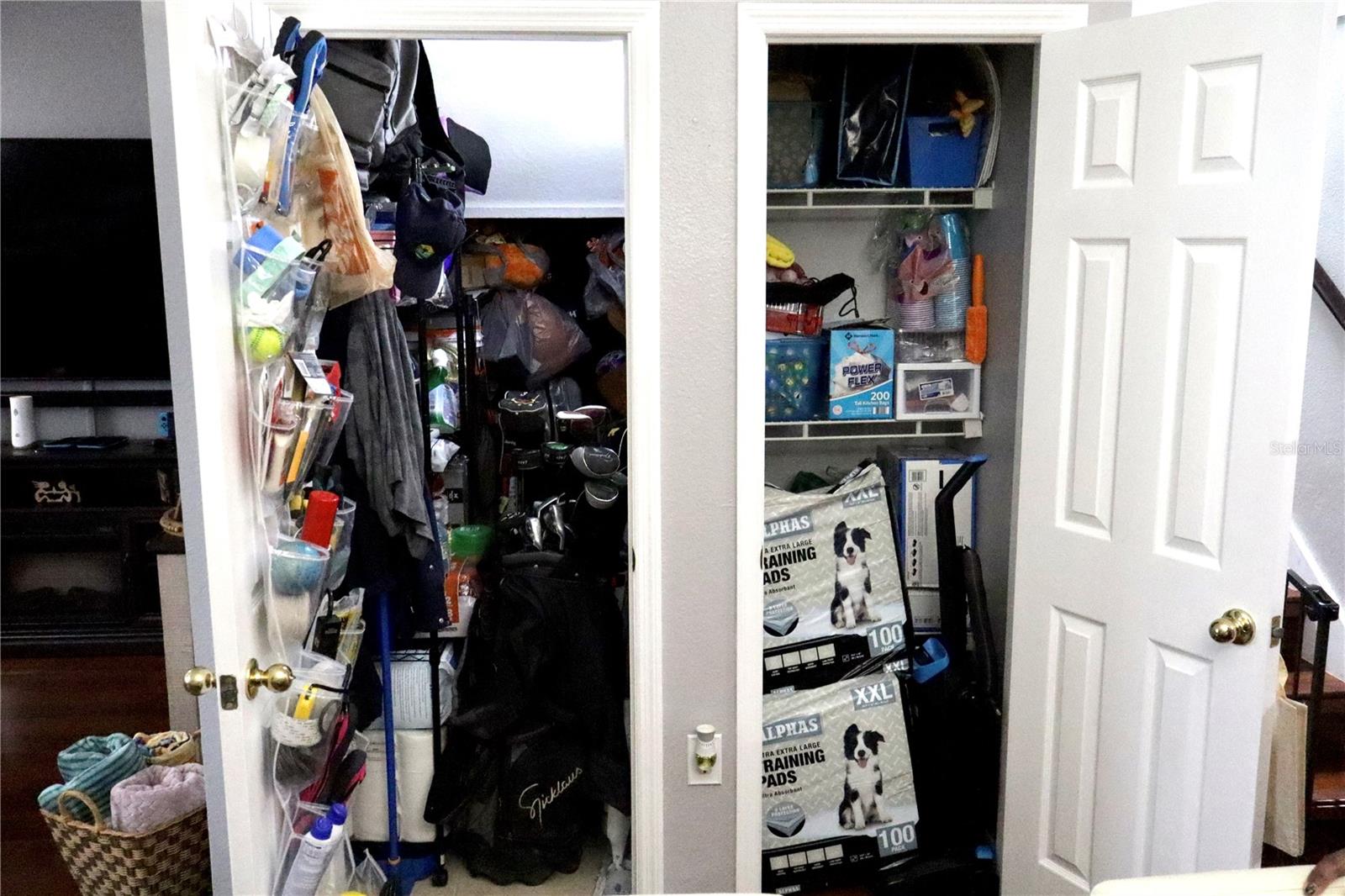 Storage Closets Under Staircase