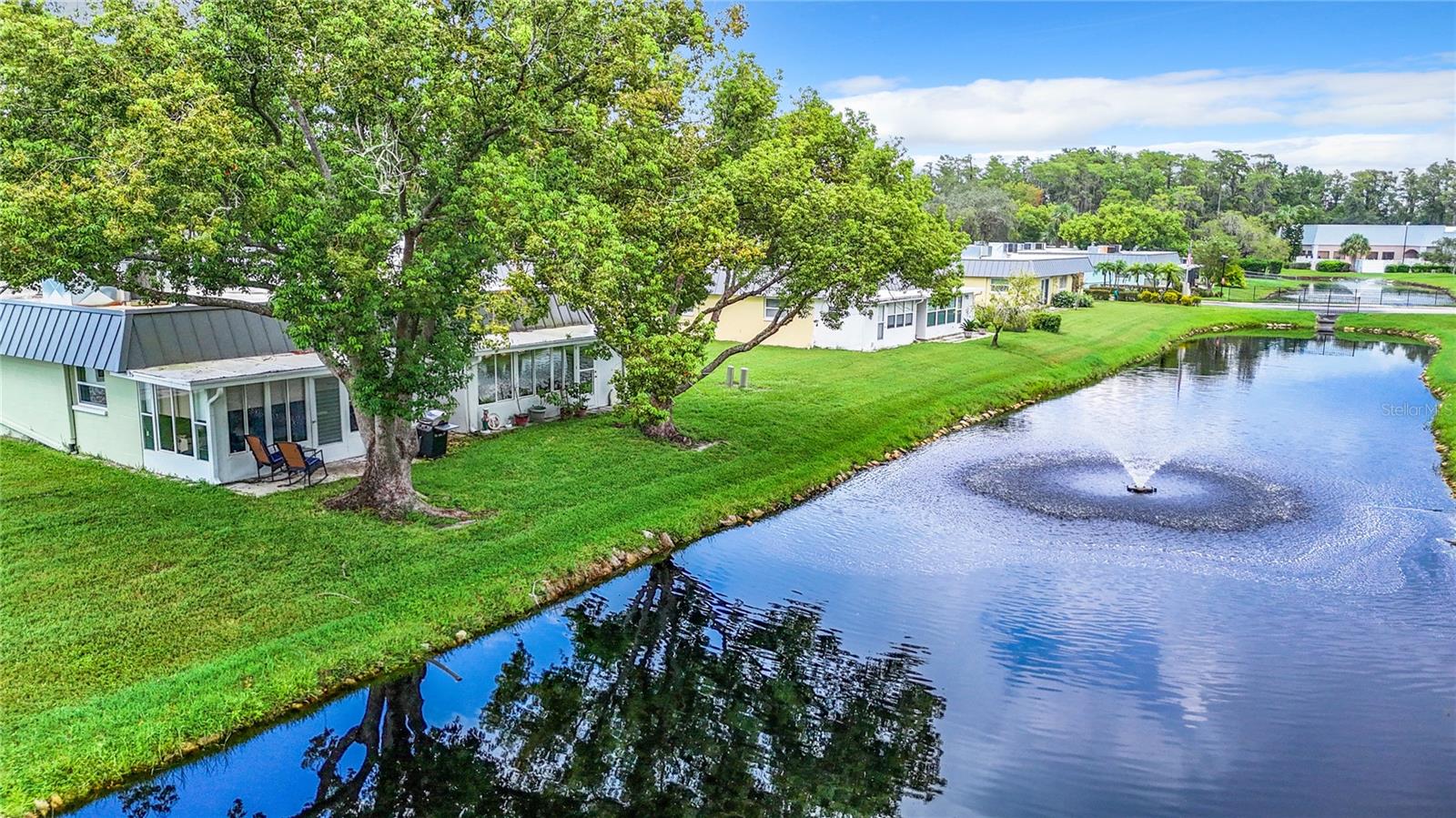 backyard view