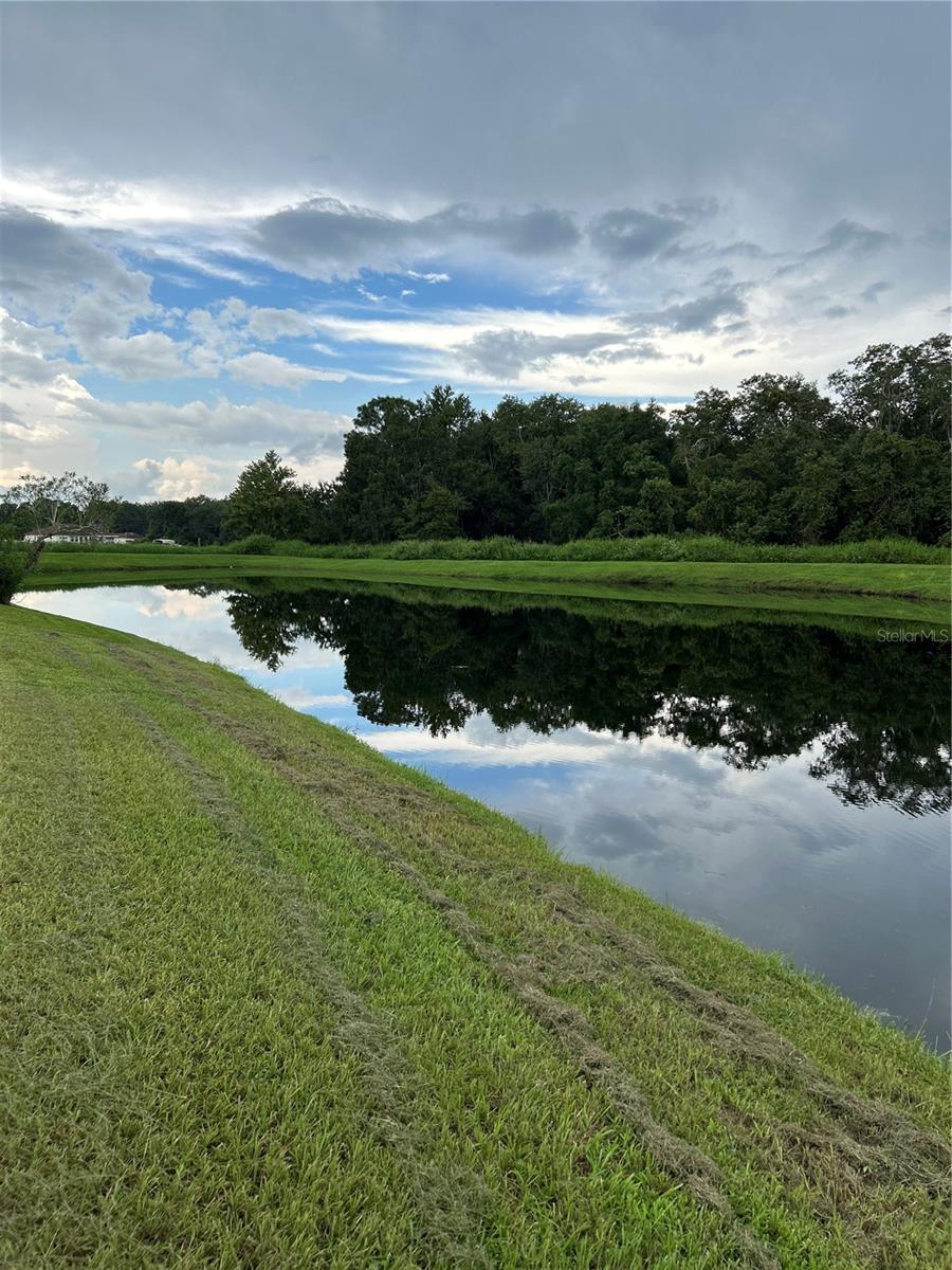 pond to the left of house