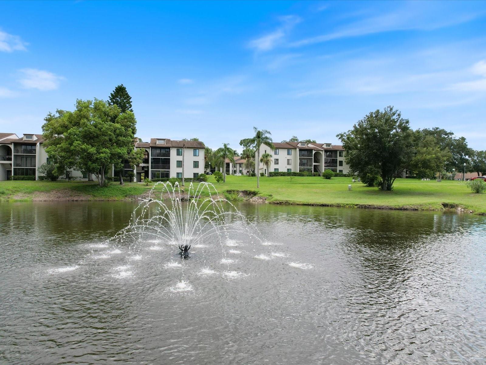 Pine Ridge has beautiful ponds throughout!