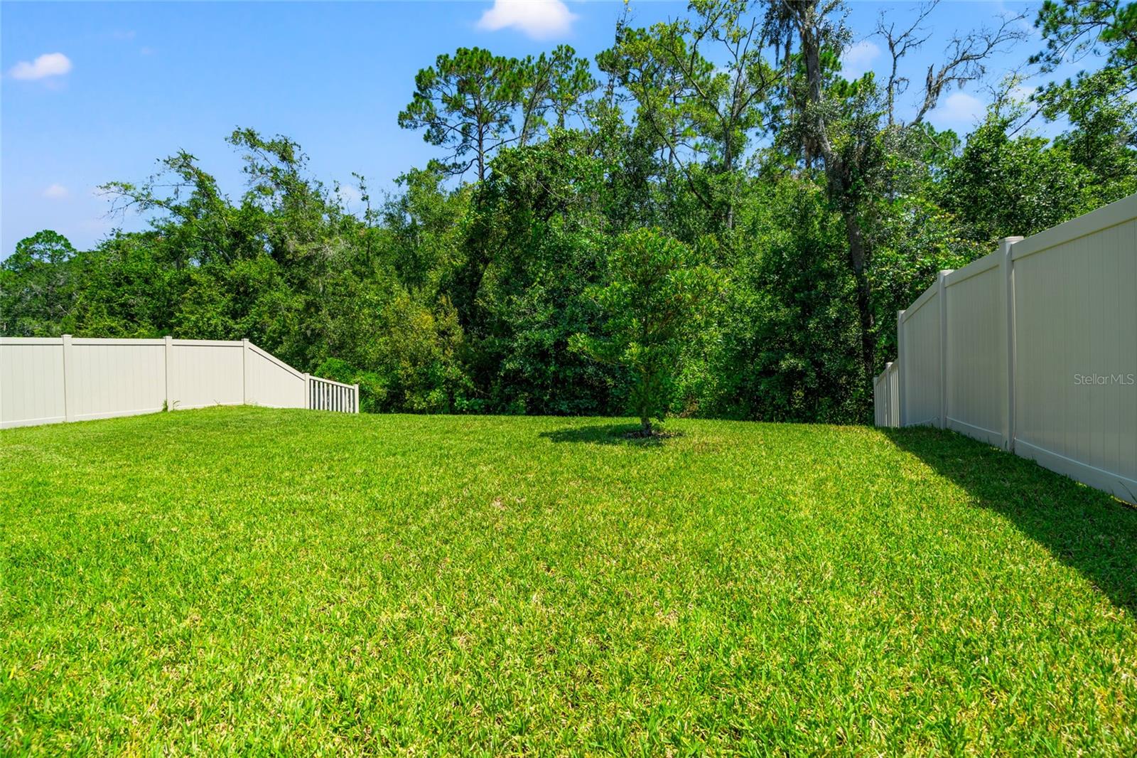 Back Patio - Conservation view