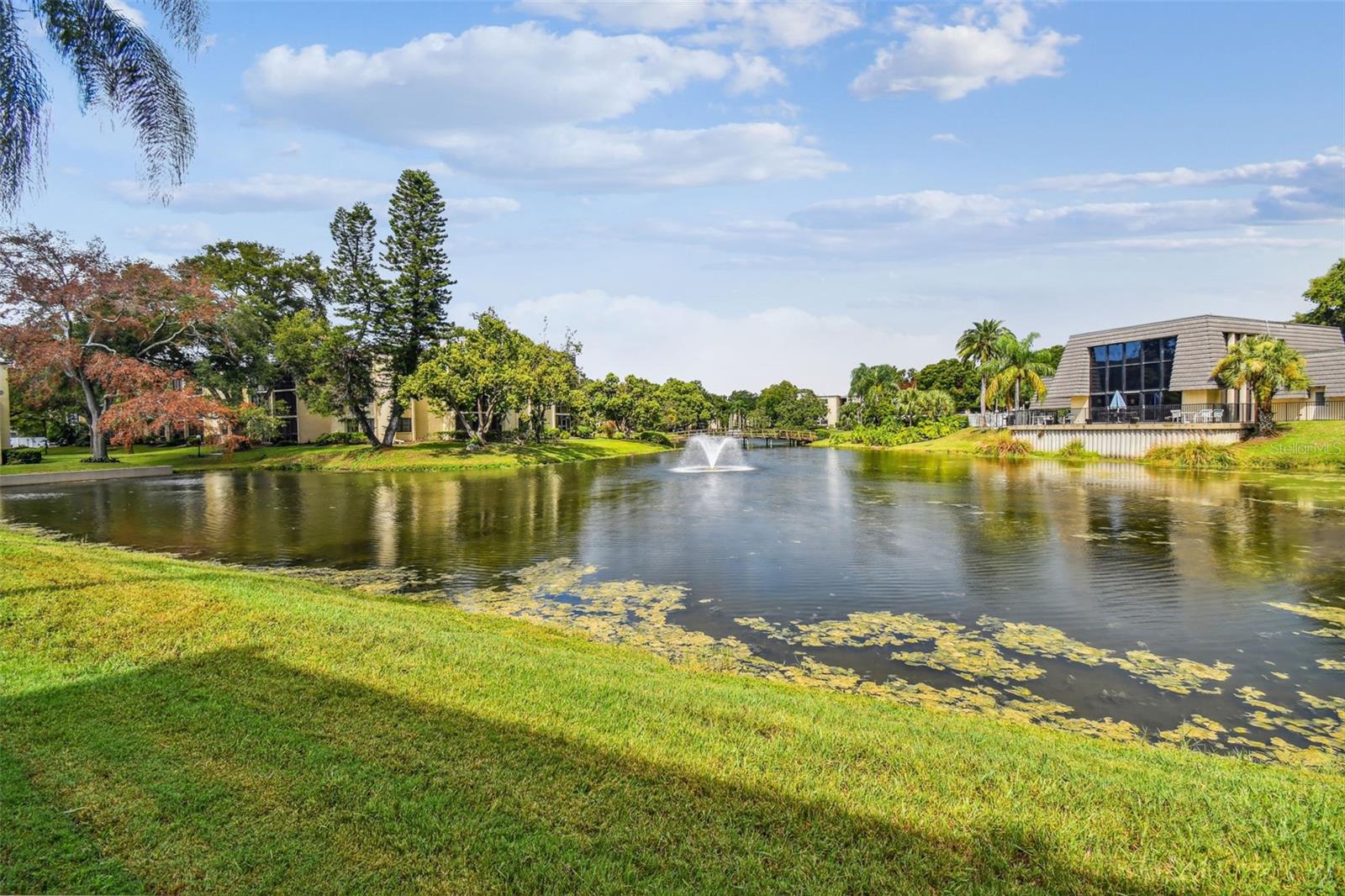 Pond Behind Building