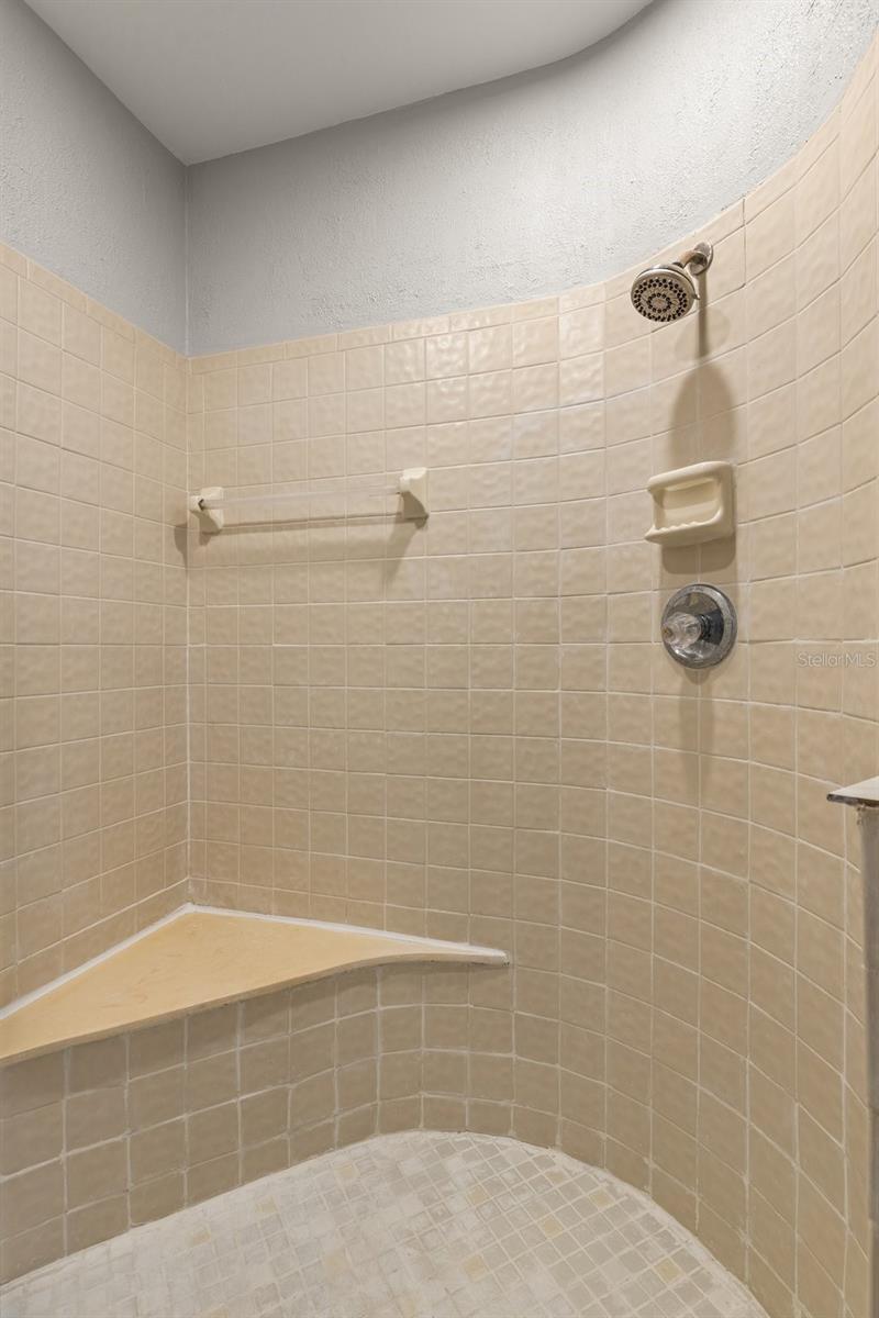 Primary Bathroom Shower