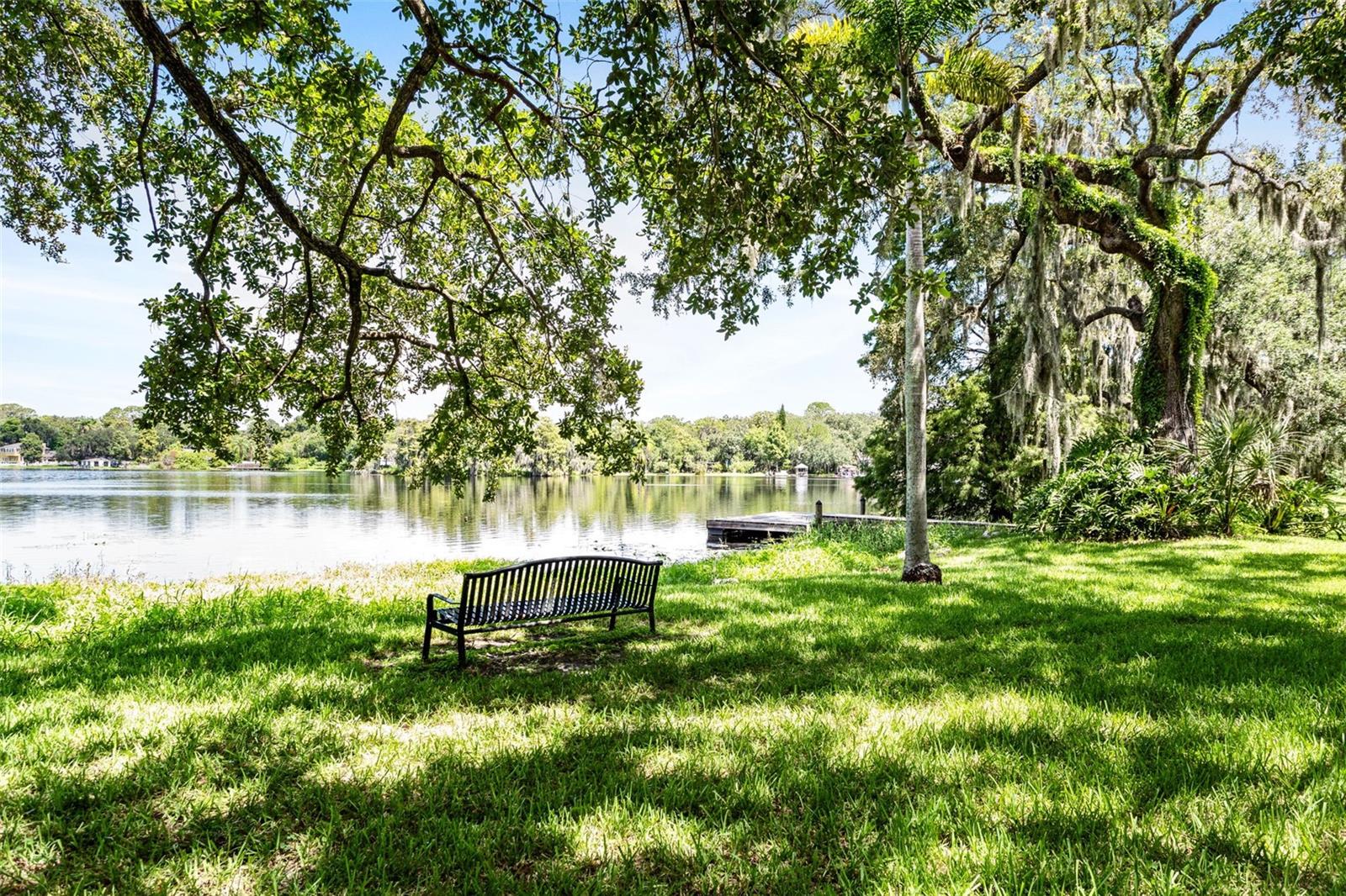 View of Hillsborough River