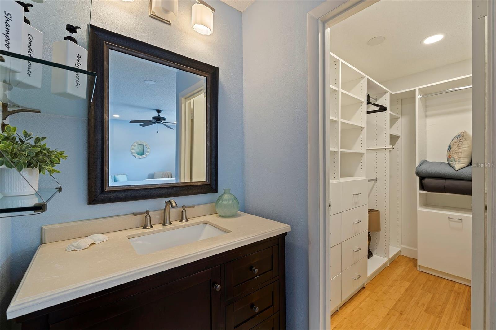 Primary Bathroom Vanity and Walk In Closet