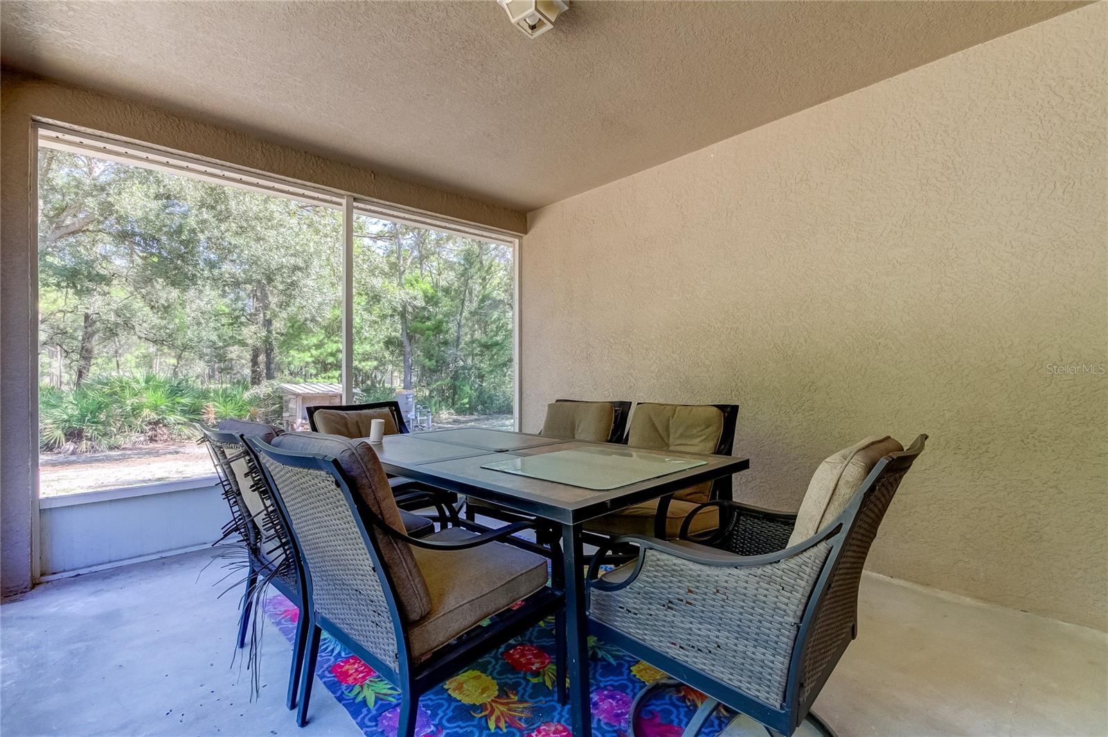 Screened Patio