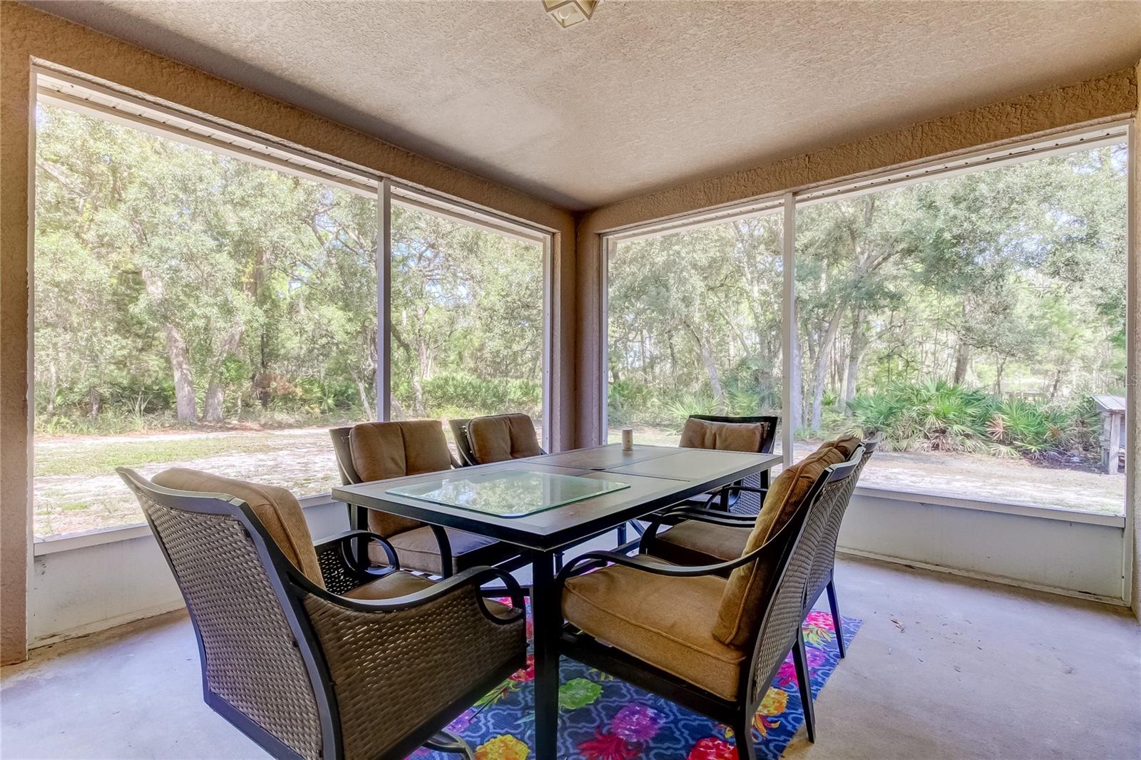 Screened Patio