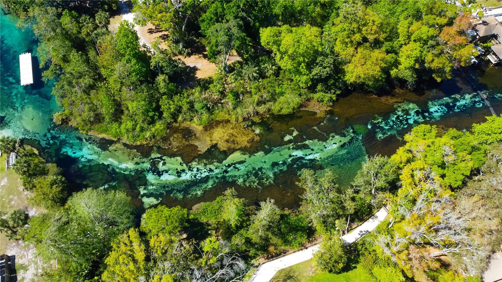 Weeki Wachee Spring-4 Miles Away