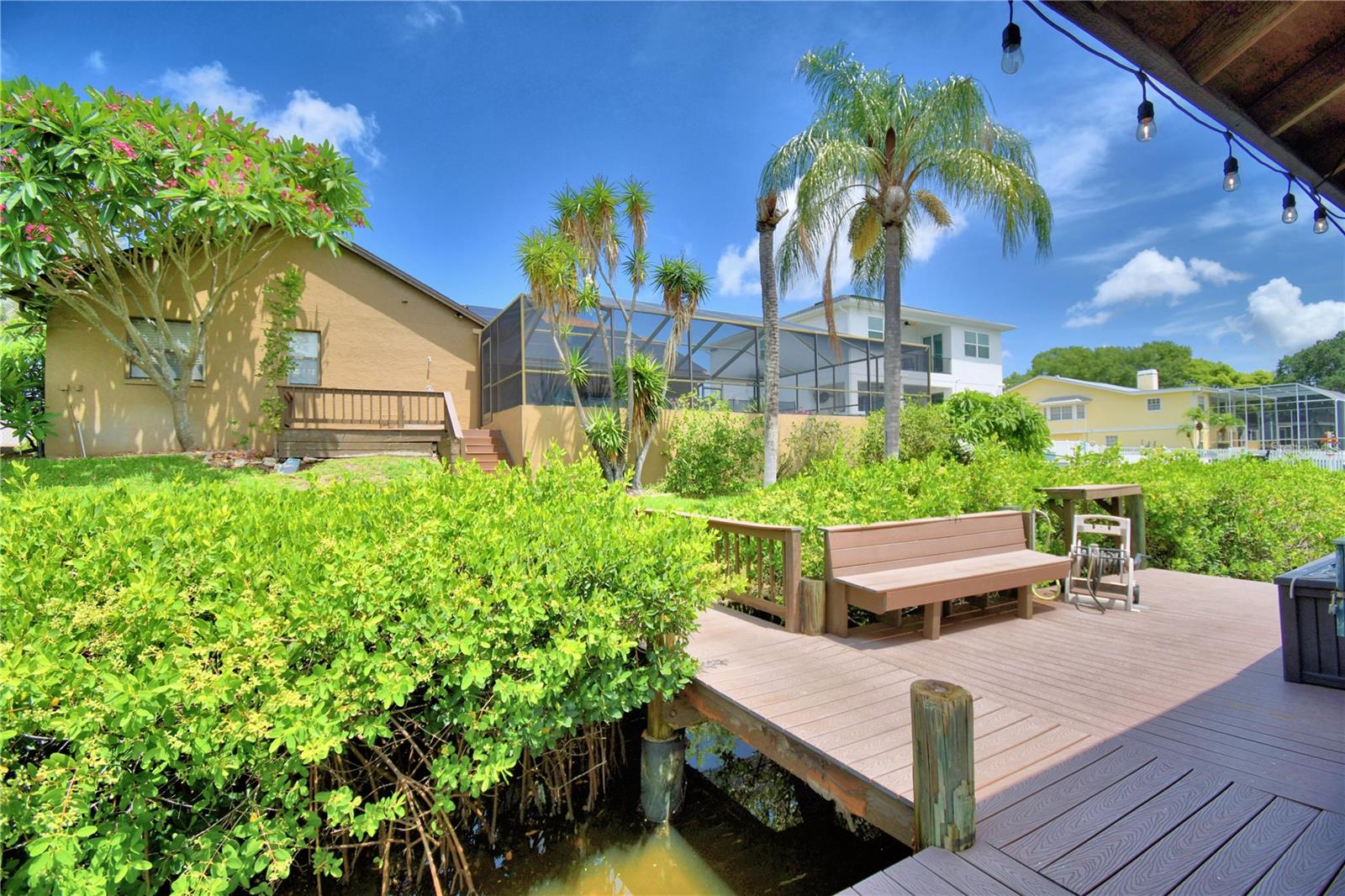 View from the dock of the mangroves and the home.