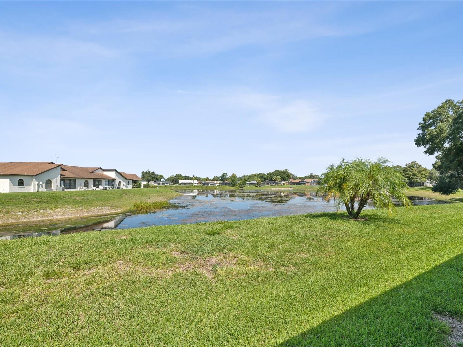 REAR POND VIEW