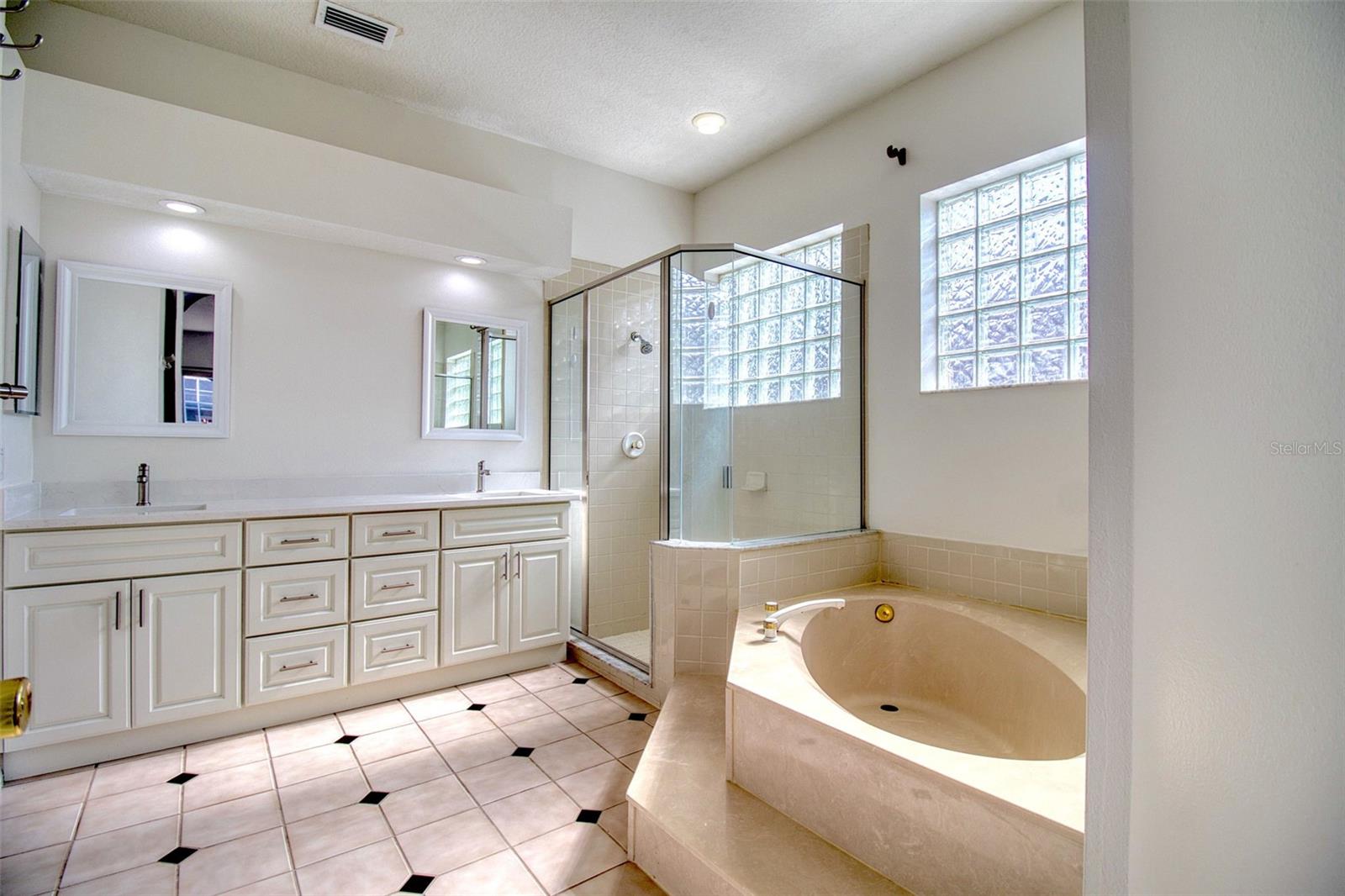 Spectactular Master Bathroom