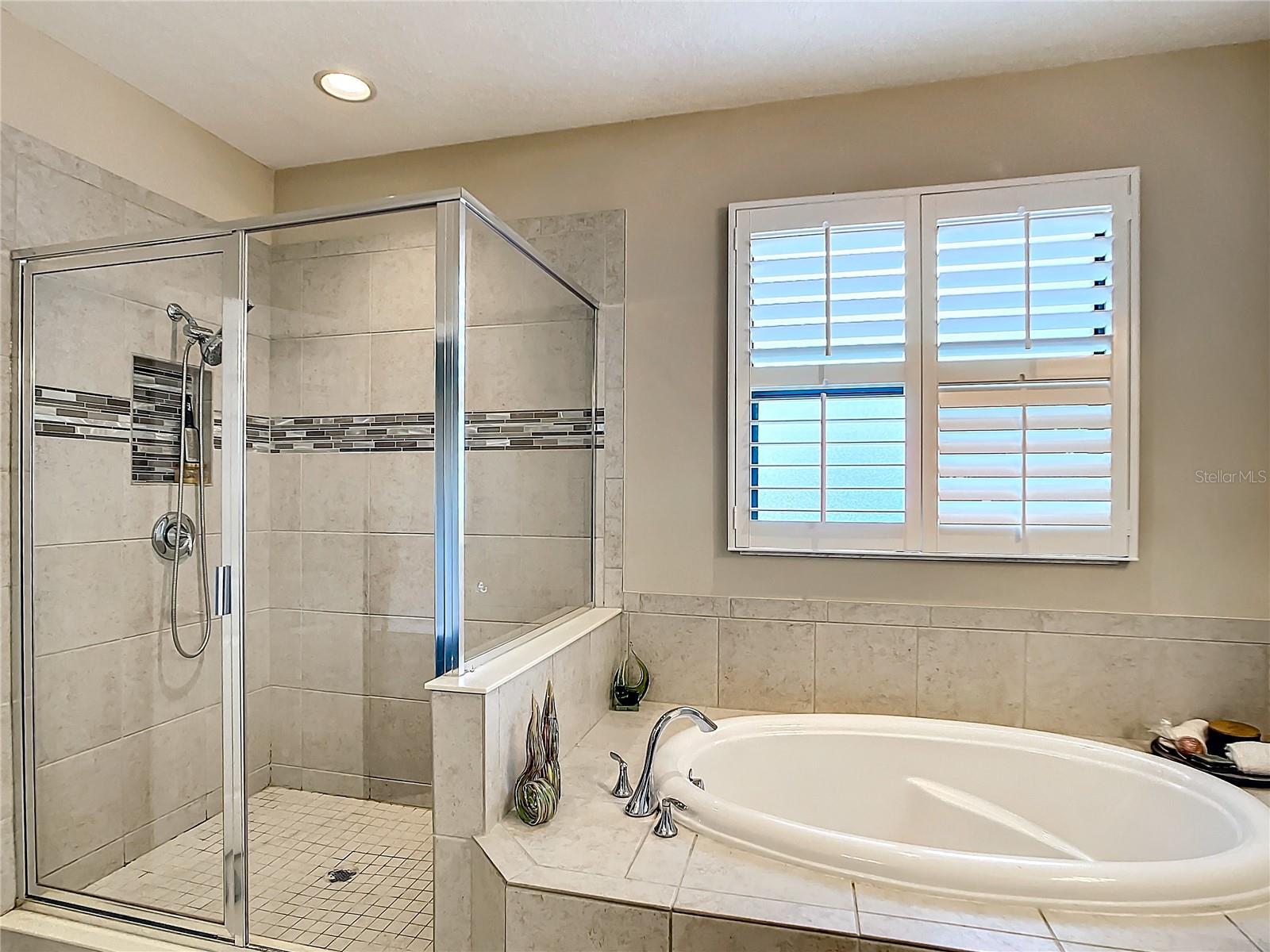 Master bath soaking tub and stall shower