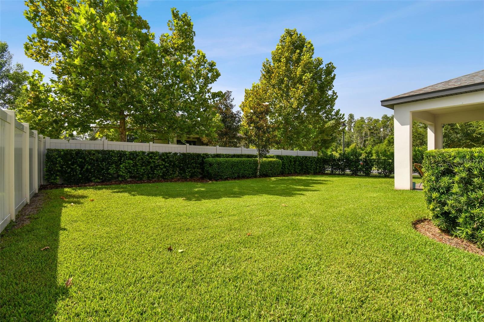 Vinyl Fence and Iron Fence with Puppy Pickets for Small Dogs