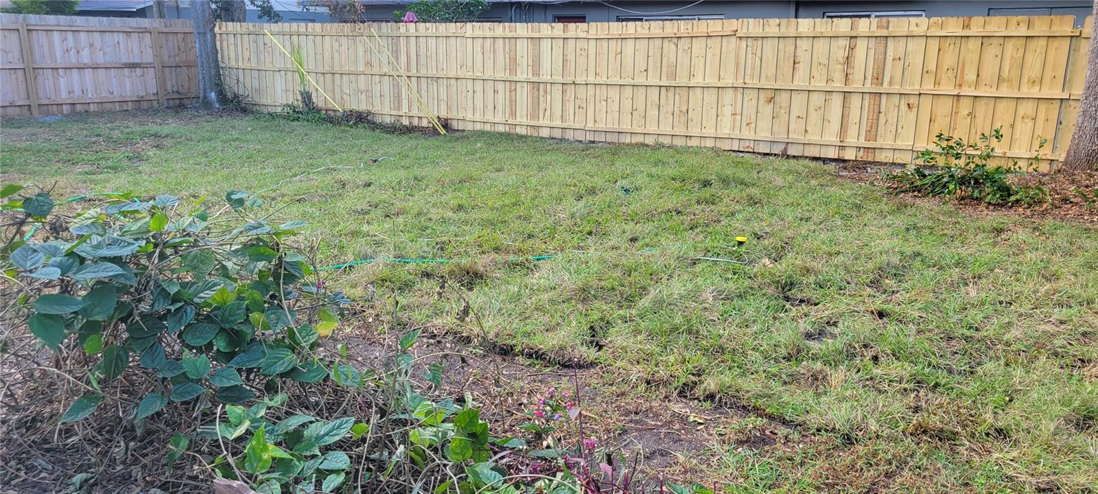 UPDATED photo of backyard after tree removal and updated fence- time to install the POOL!