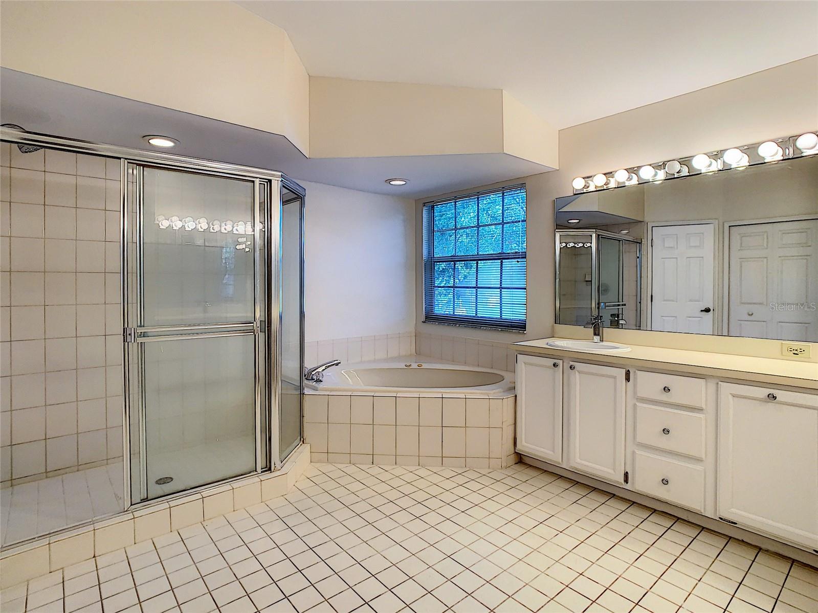 Primary Bath - Separate Shower & Tub, Plus Water Closet