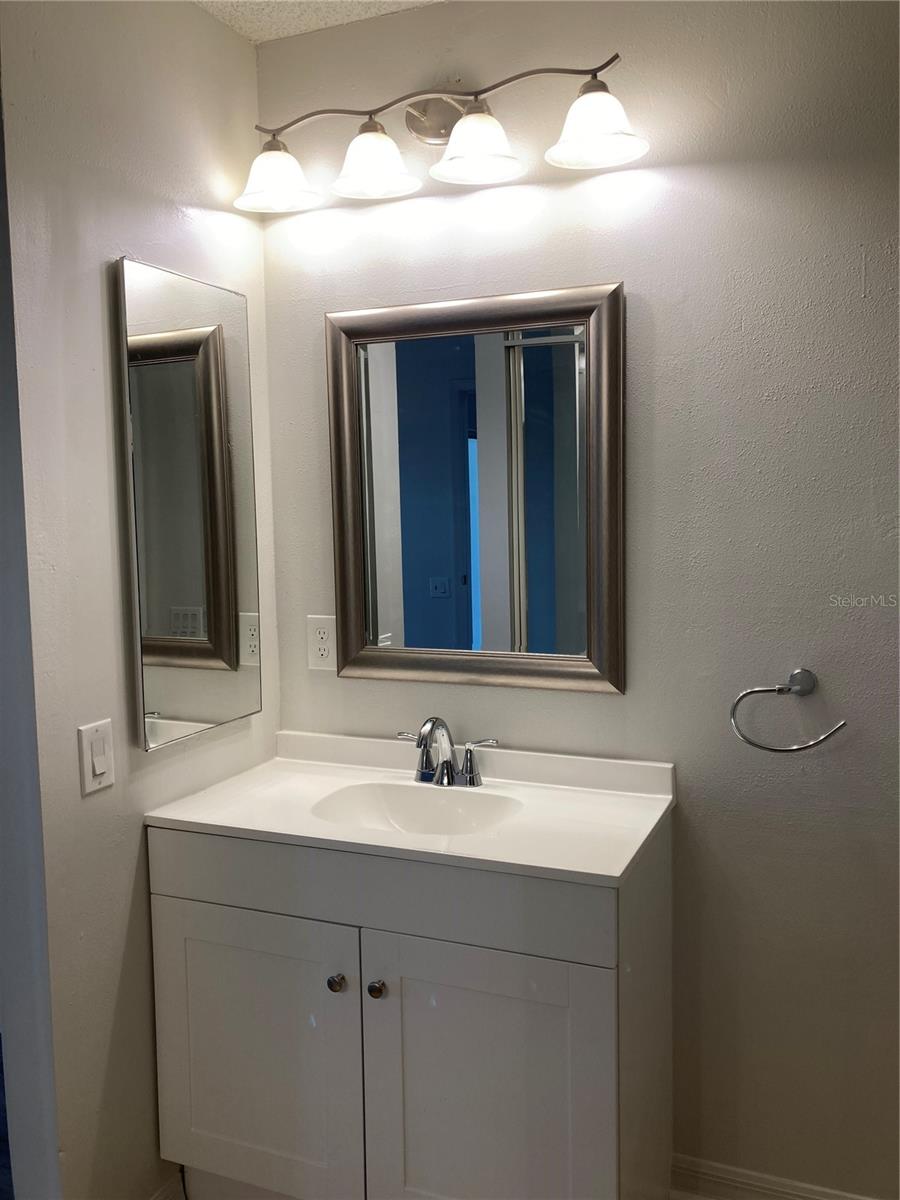 Master vanity area