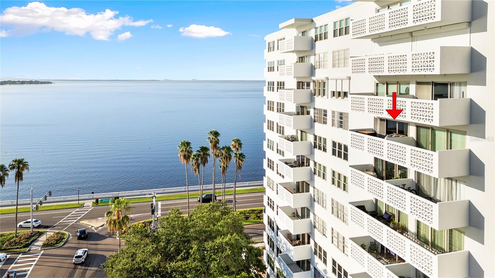 Stunning Bayshore Blvd Views