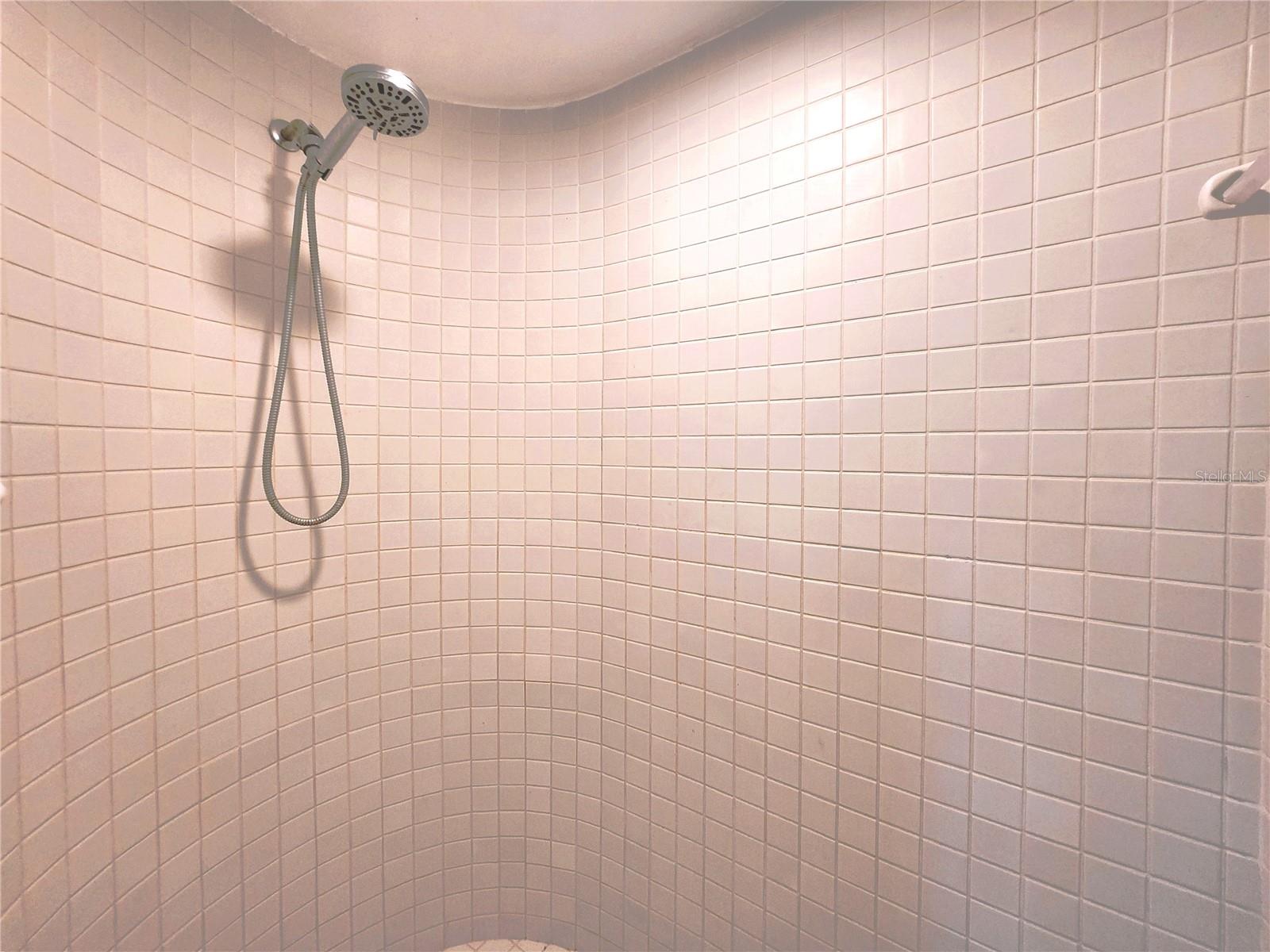 Master walk-in shower