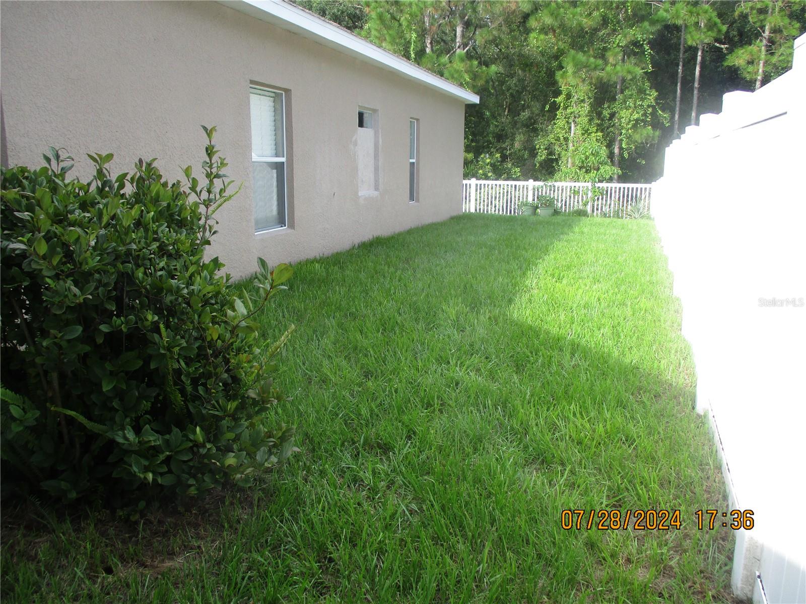 Side yard recently sodded