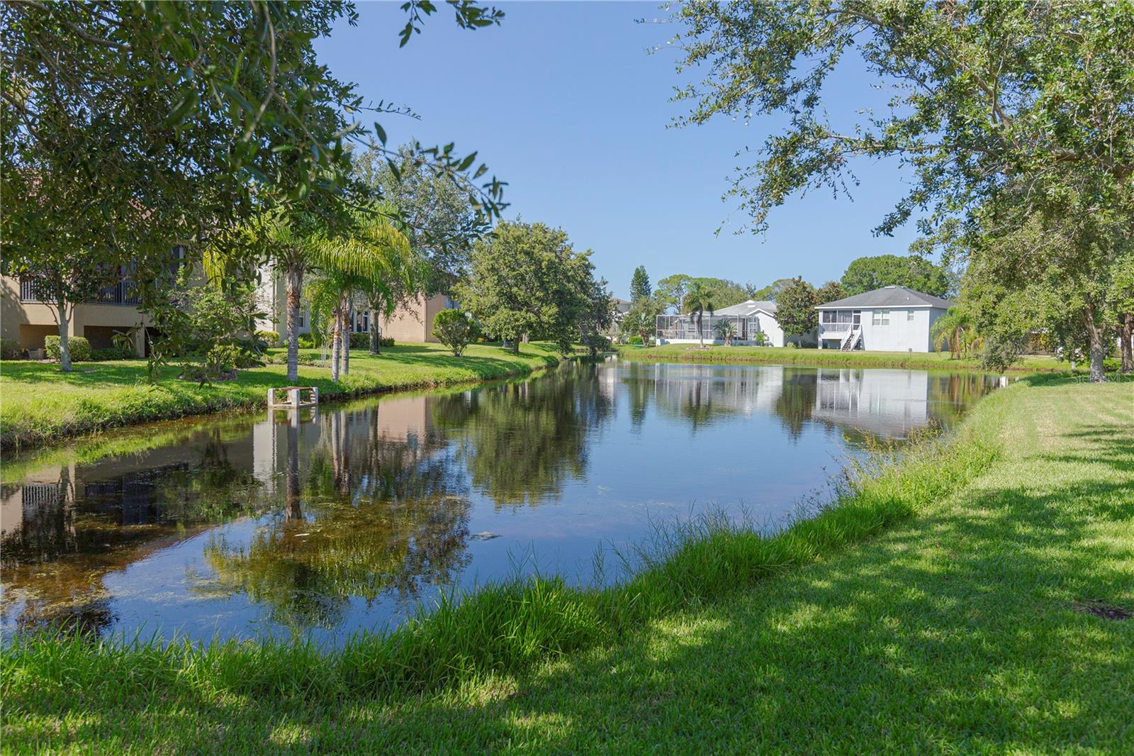 Backyard Pond