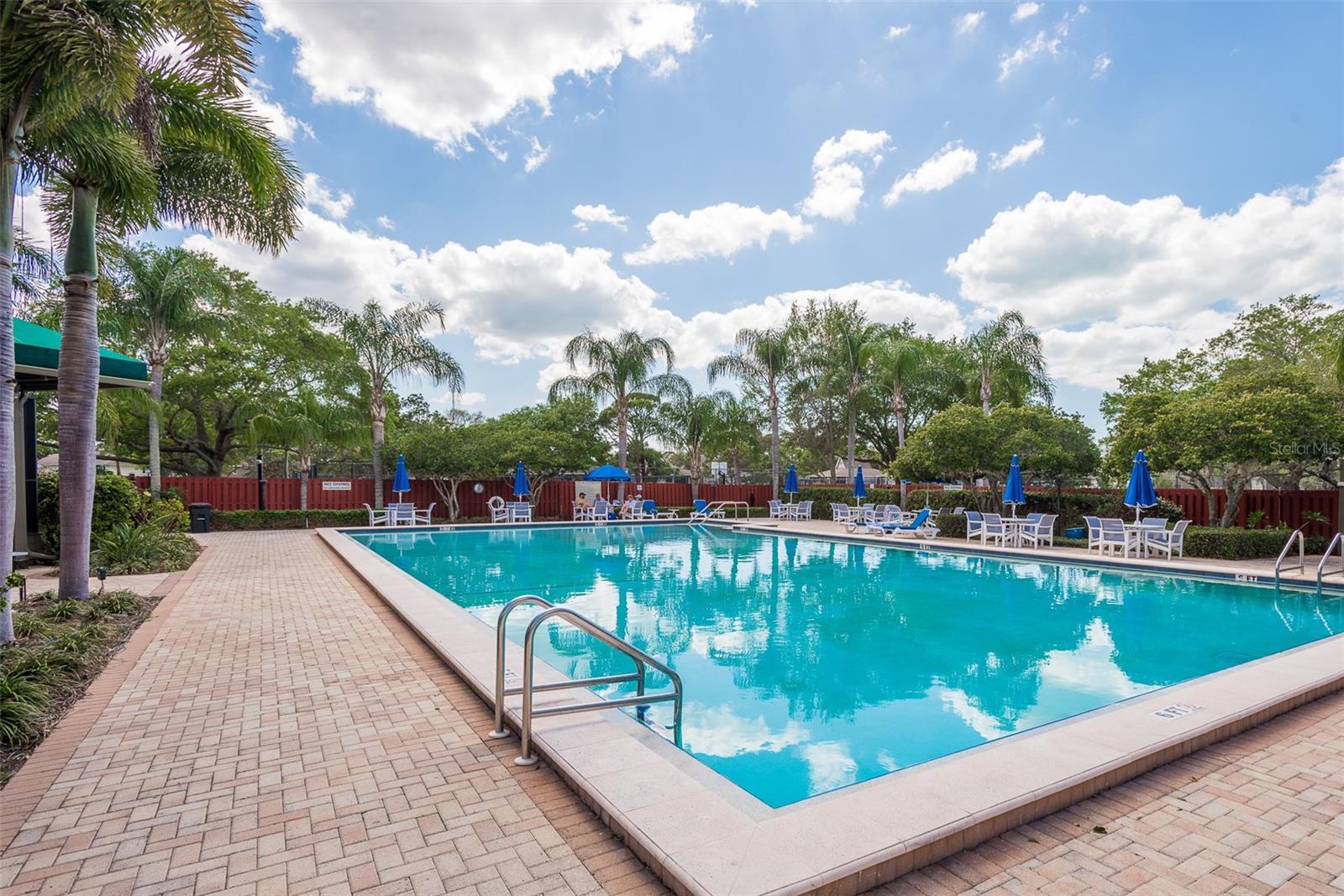 Aerial Pool