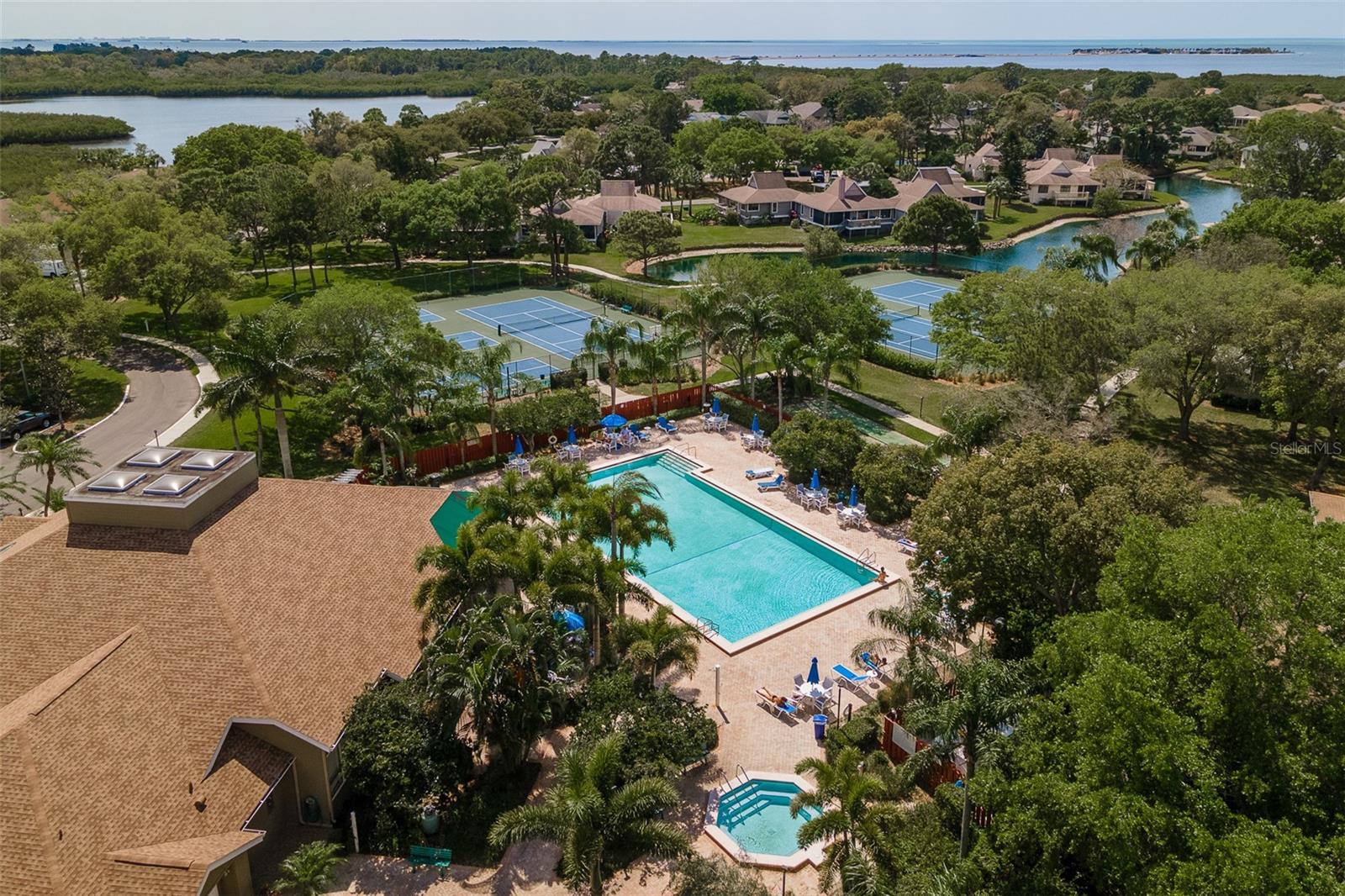 Aerial Pool