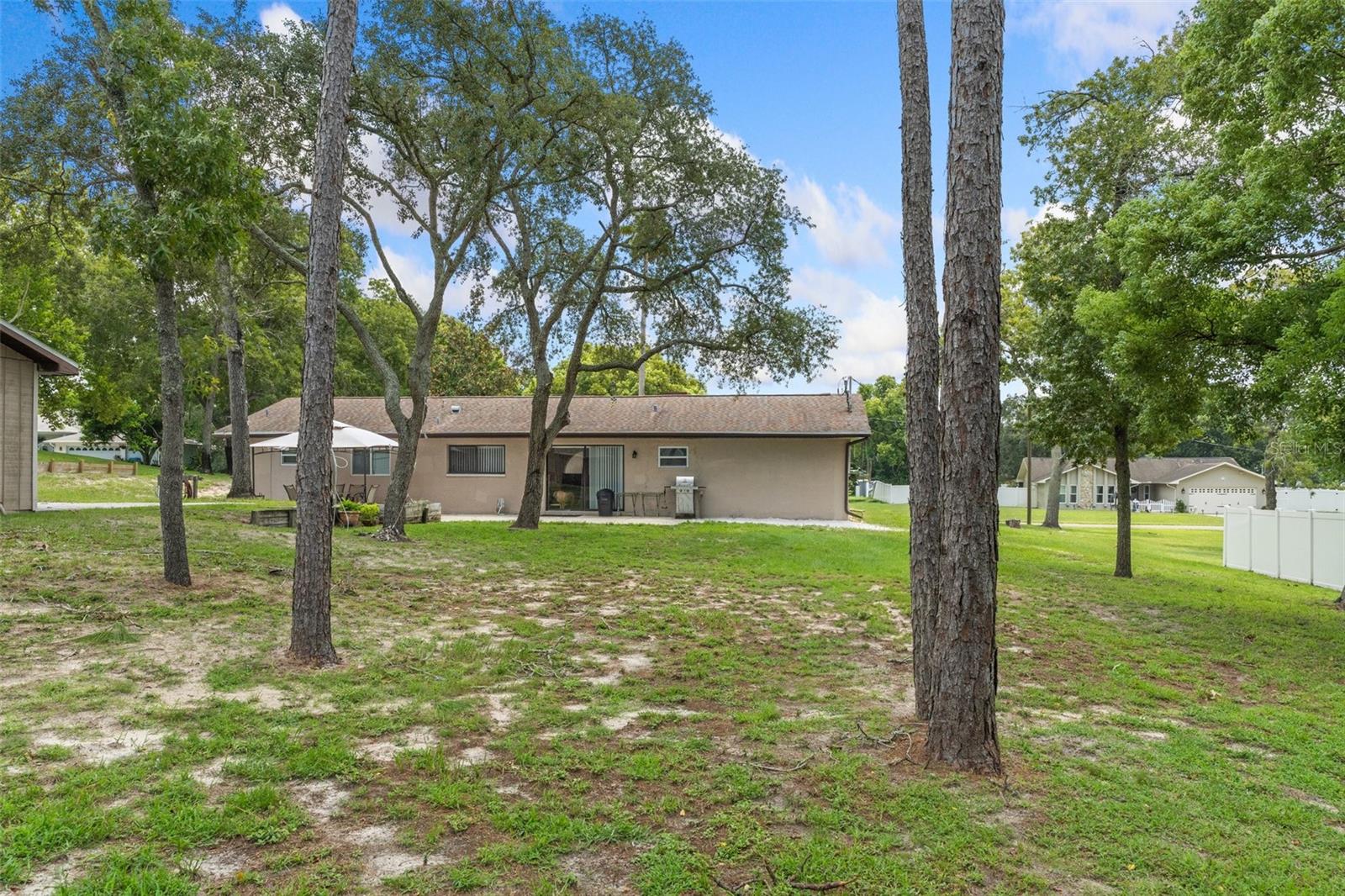 Spacious Backyard