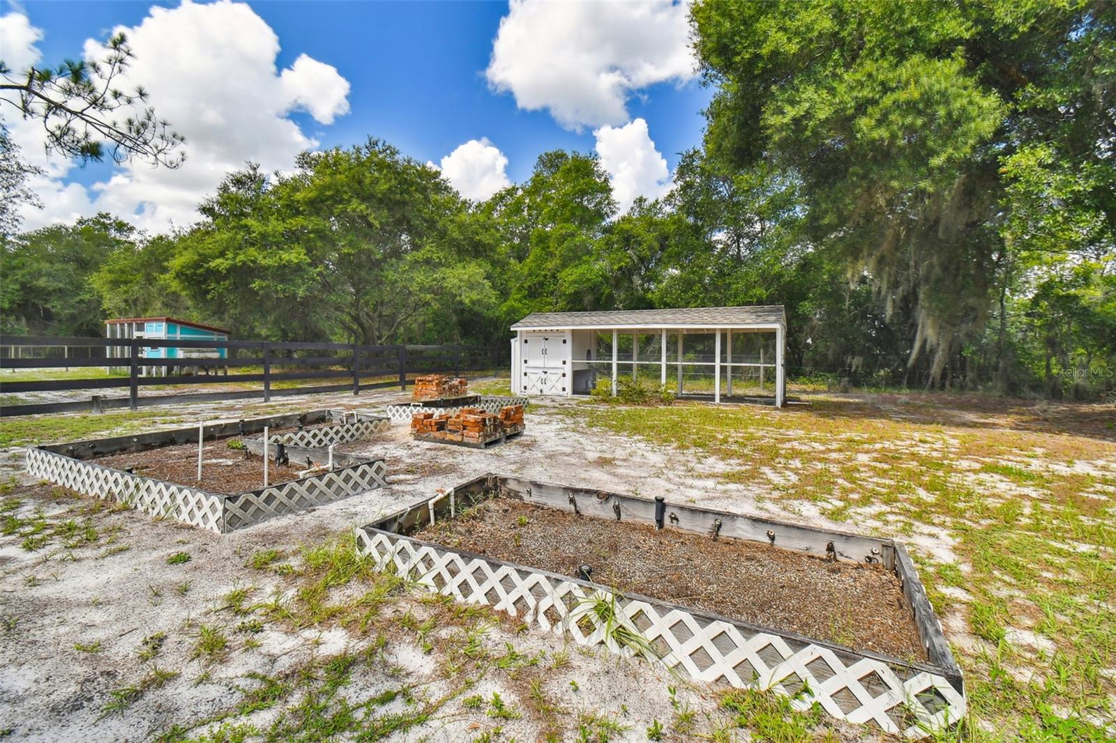 chicken coop and garden beds