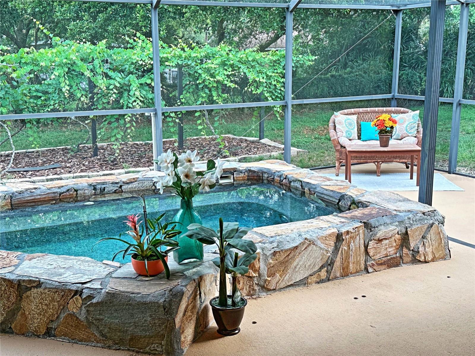 The vineyard of grapes provides a nice backdrop to the plunge pool.