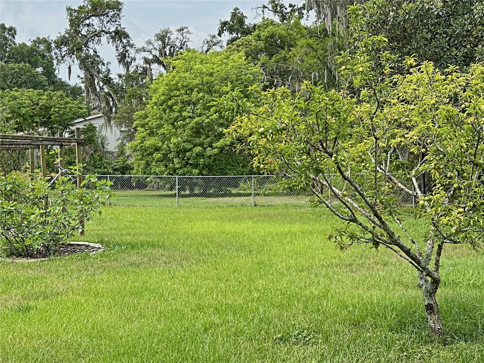 The pie shaped and fenced side back yard is huge!  It is perfect for parking your work trucks, trailers, fifth wheels, etc. and there is enough room to turn around and back them in.