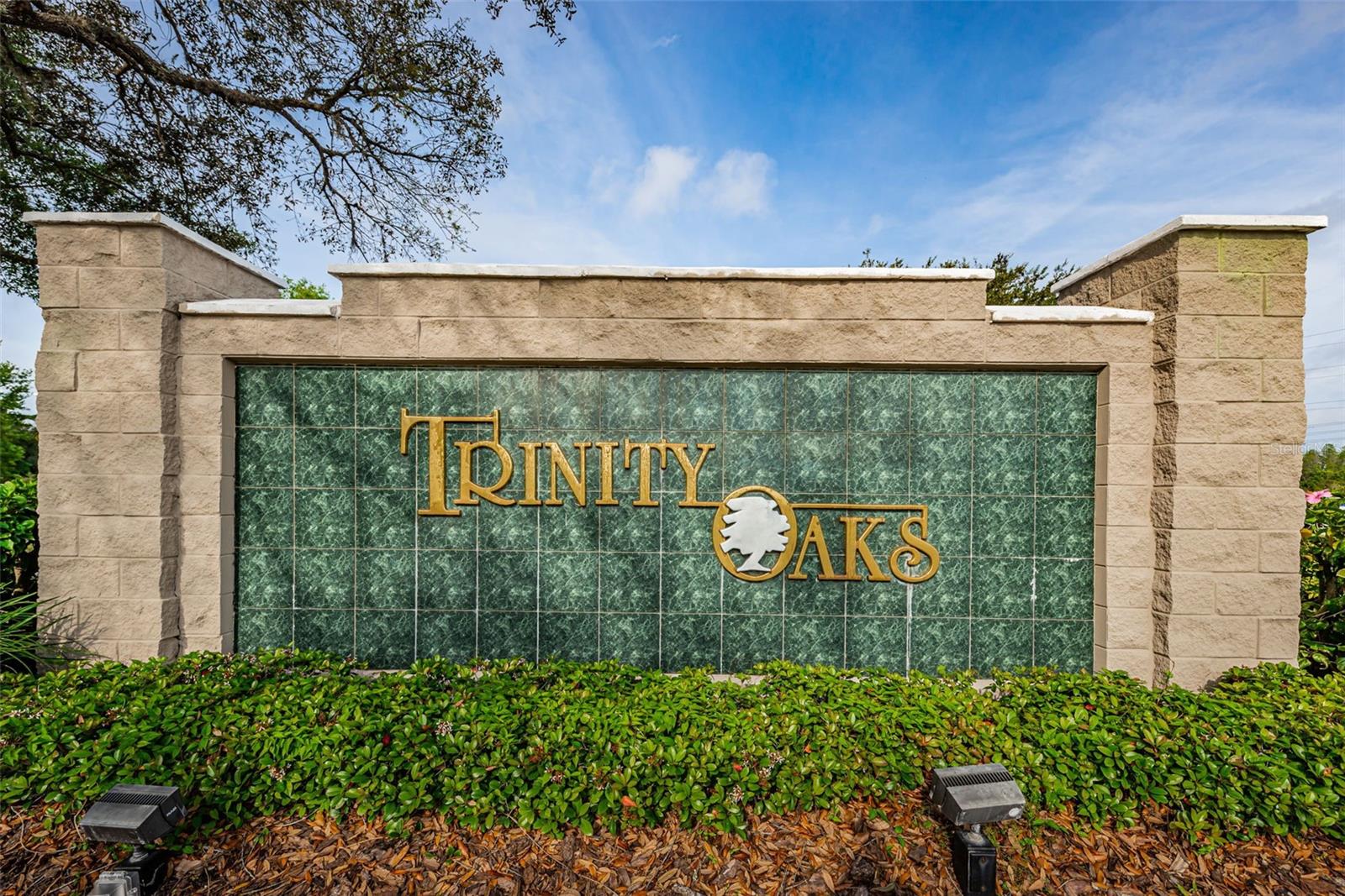 Trinity Oaks Entrance