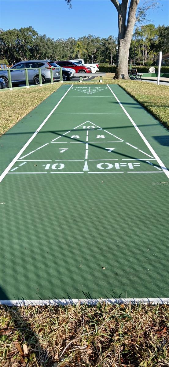 Shuffleboard