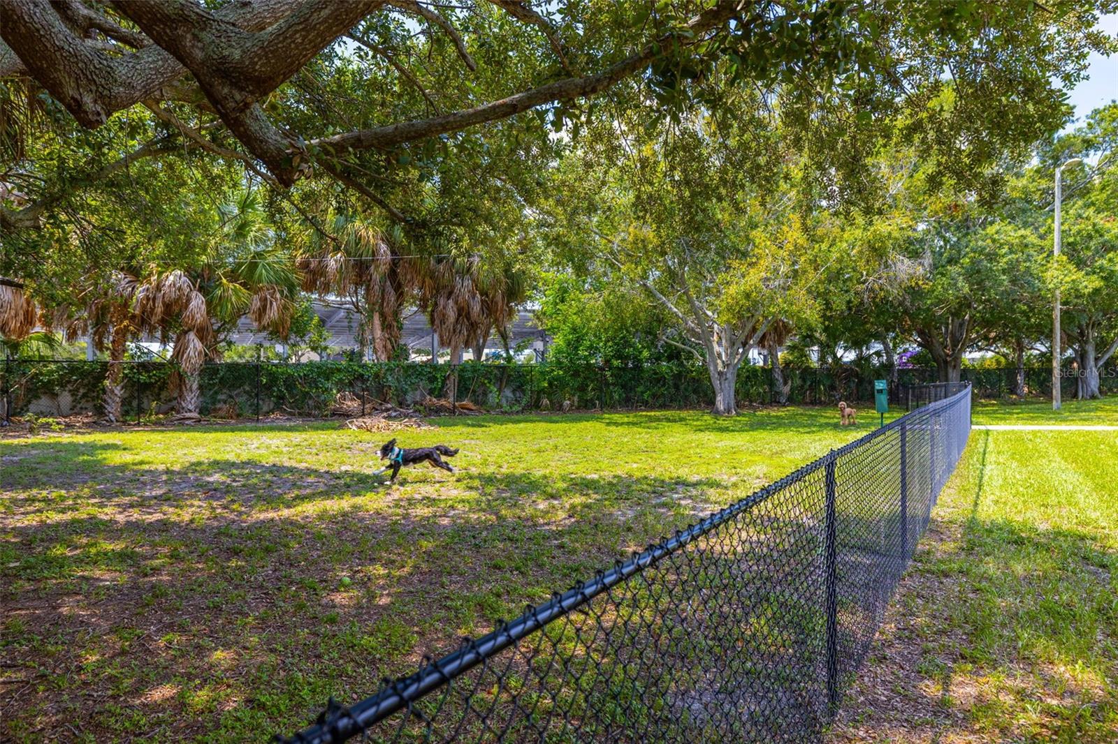 Fenced Dog Park