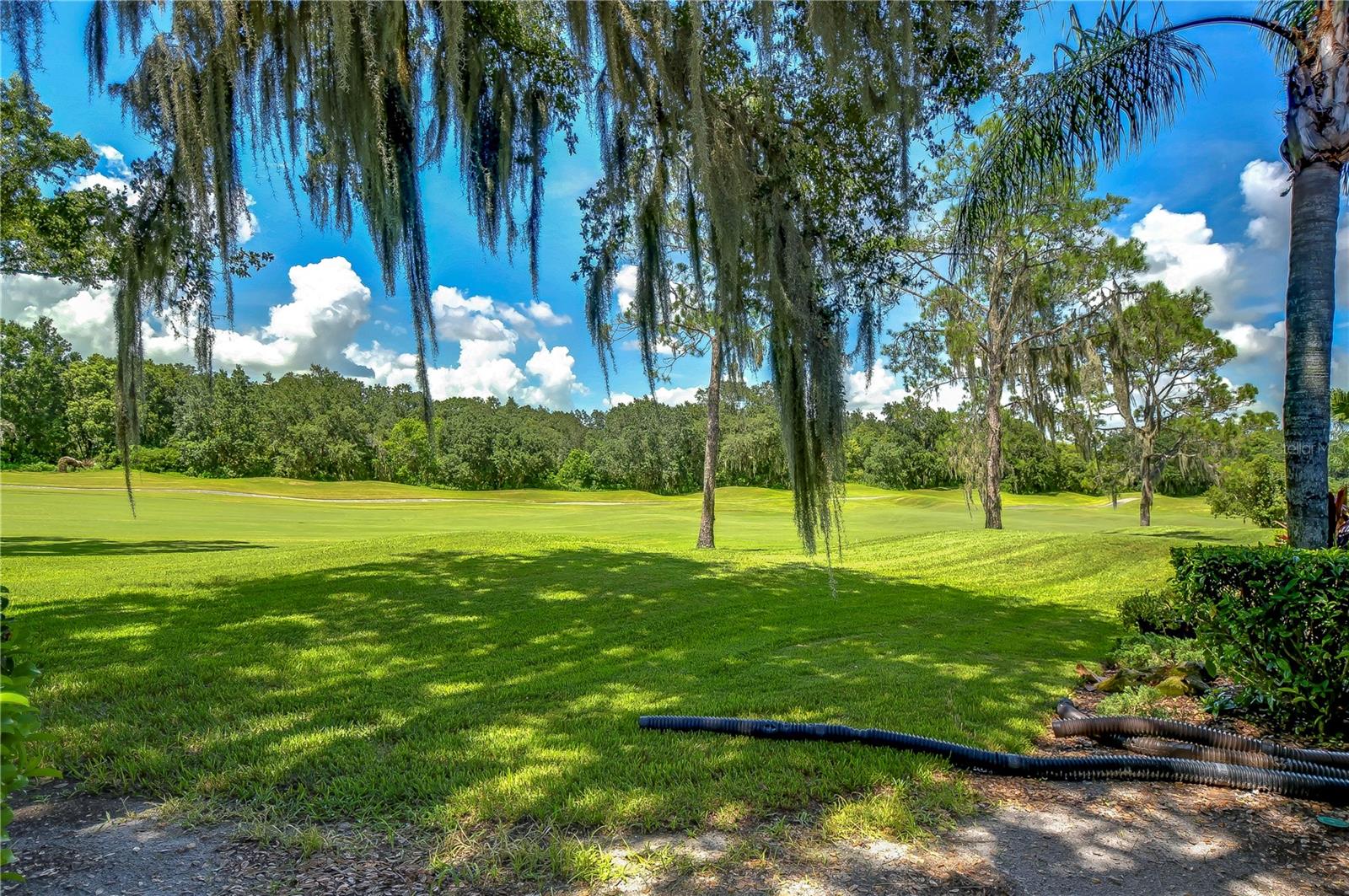 GOLFCOURSE VIEWS