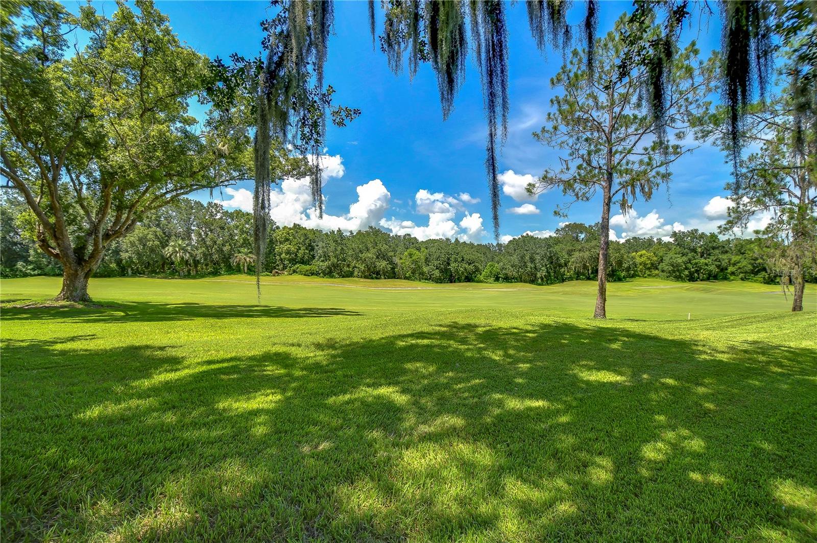 GOLFCOURSE VIEWS