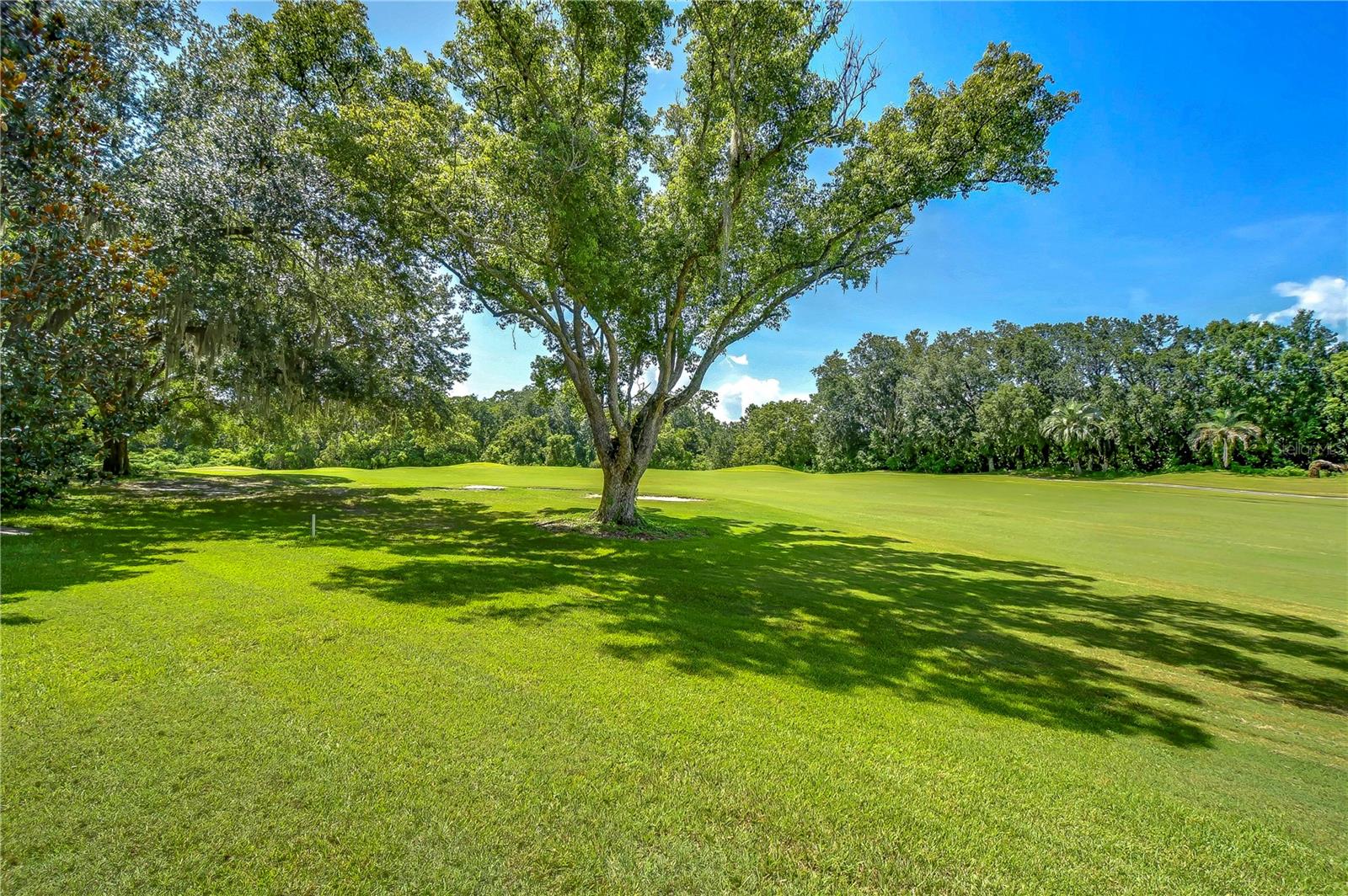 Golfcourse view