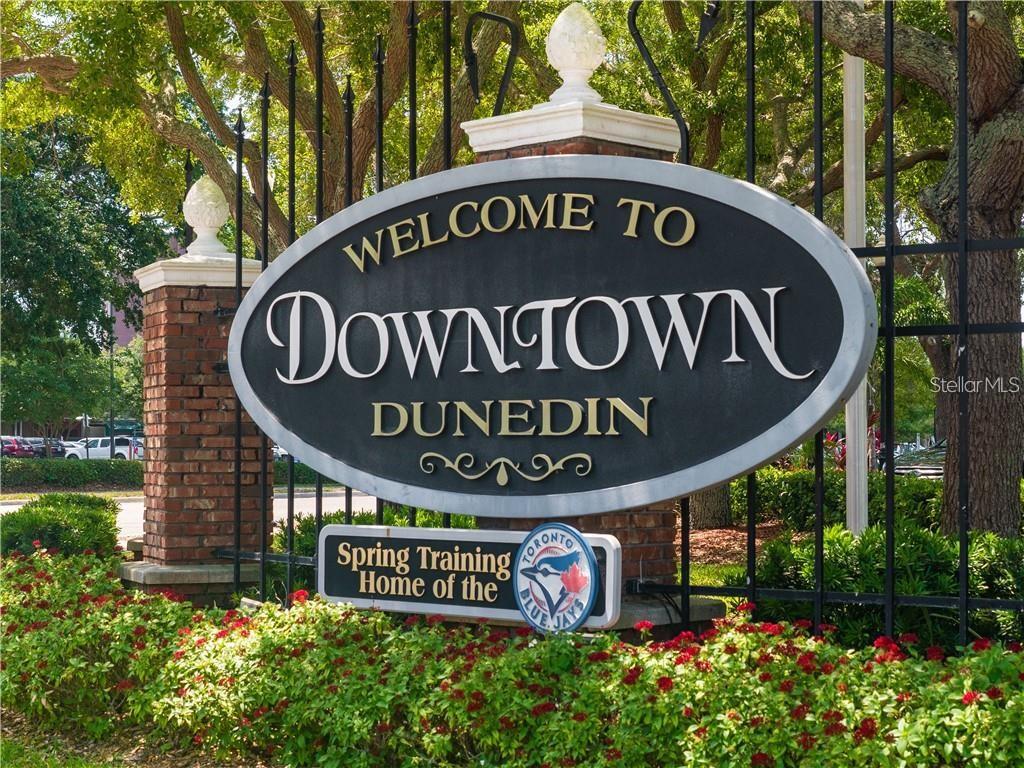 NEARBY DOWNTOWN DUNEDIN