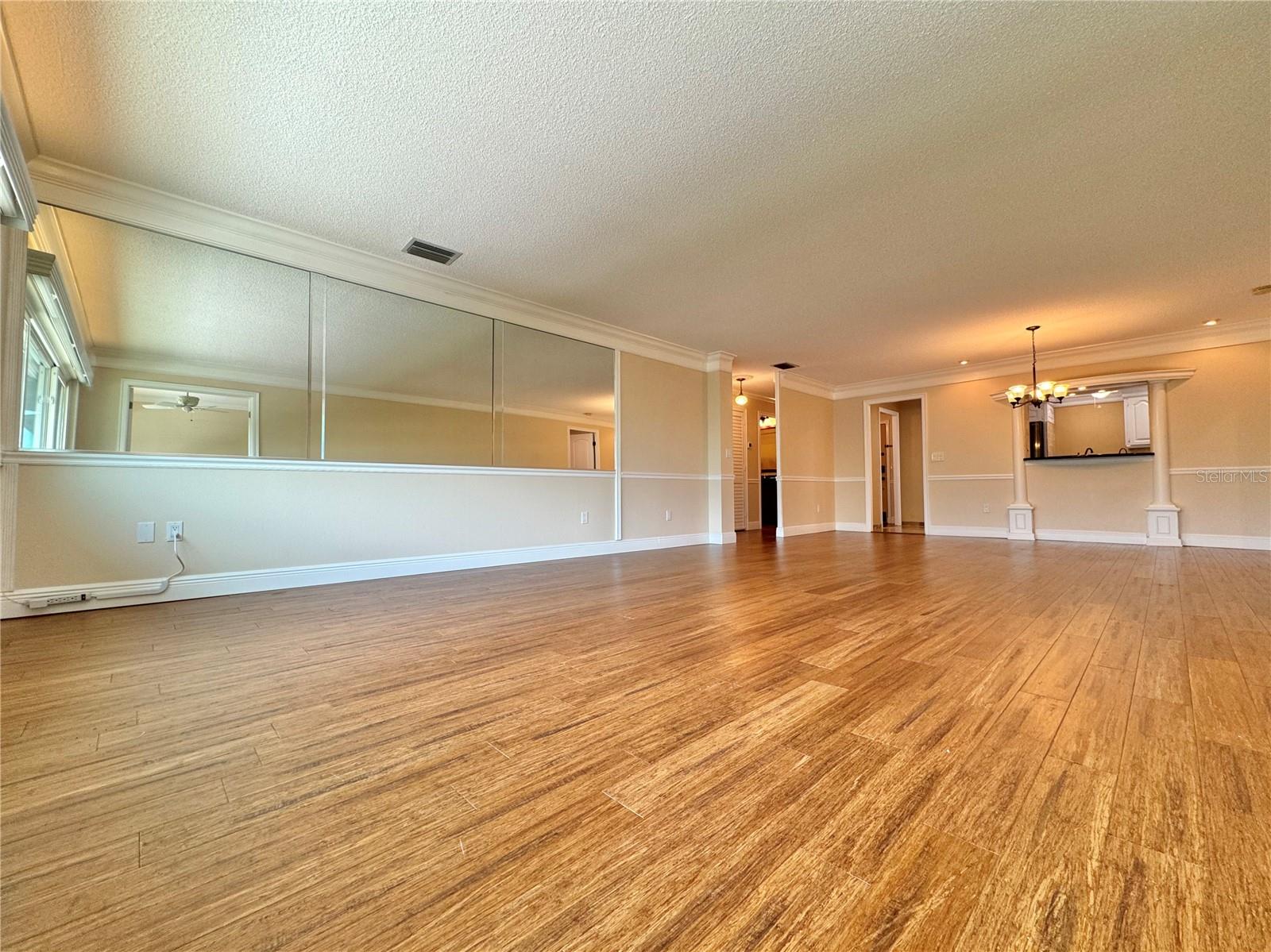 Large, open living room and dining room.