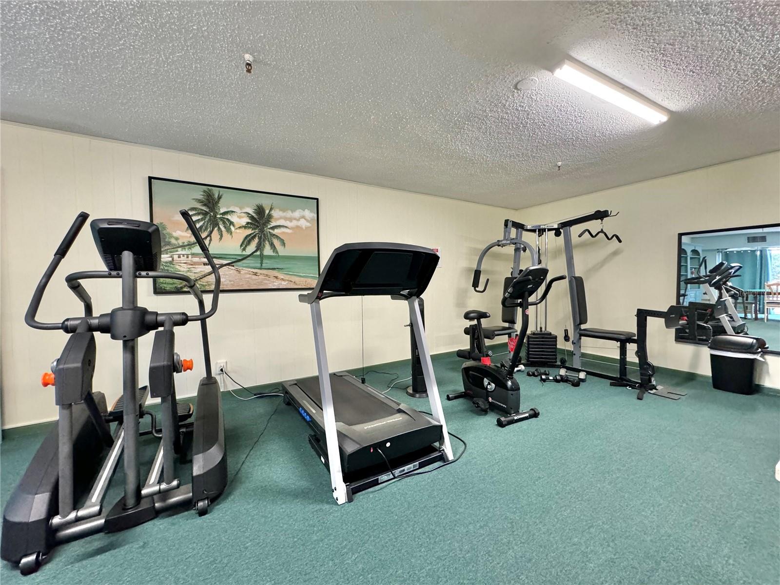 Cardio equipment and weights in clubhouse.