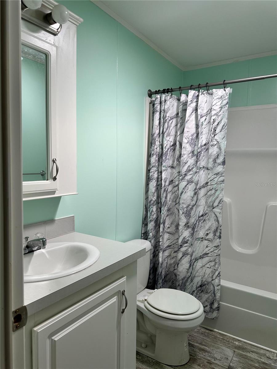 Guest bathroom