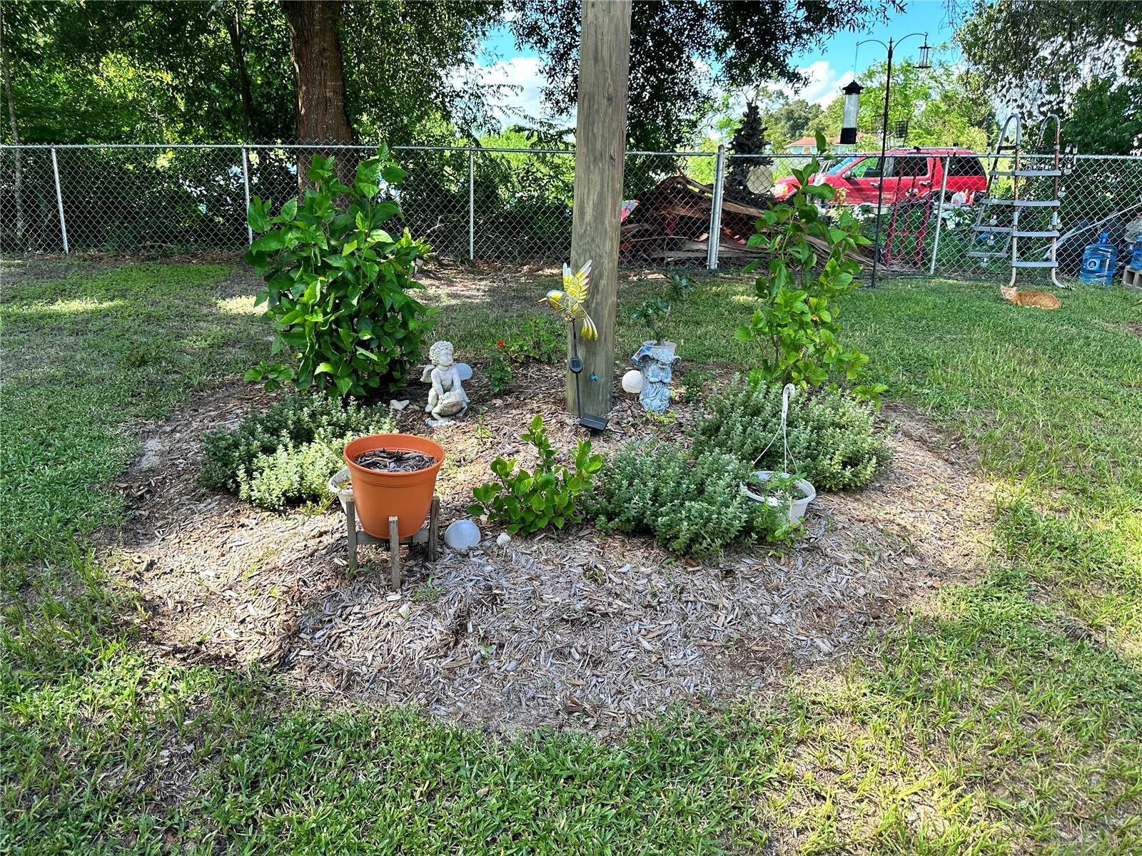 Cherub Garden