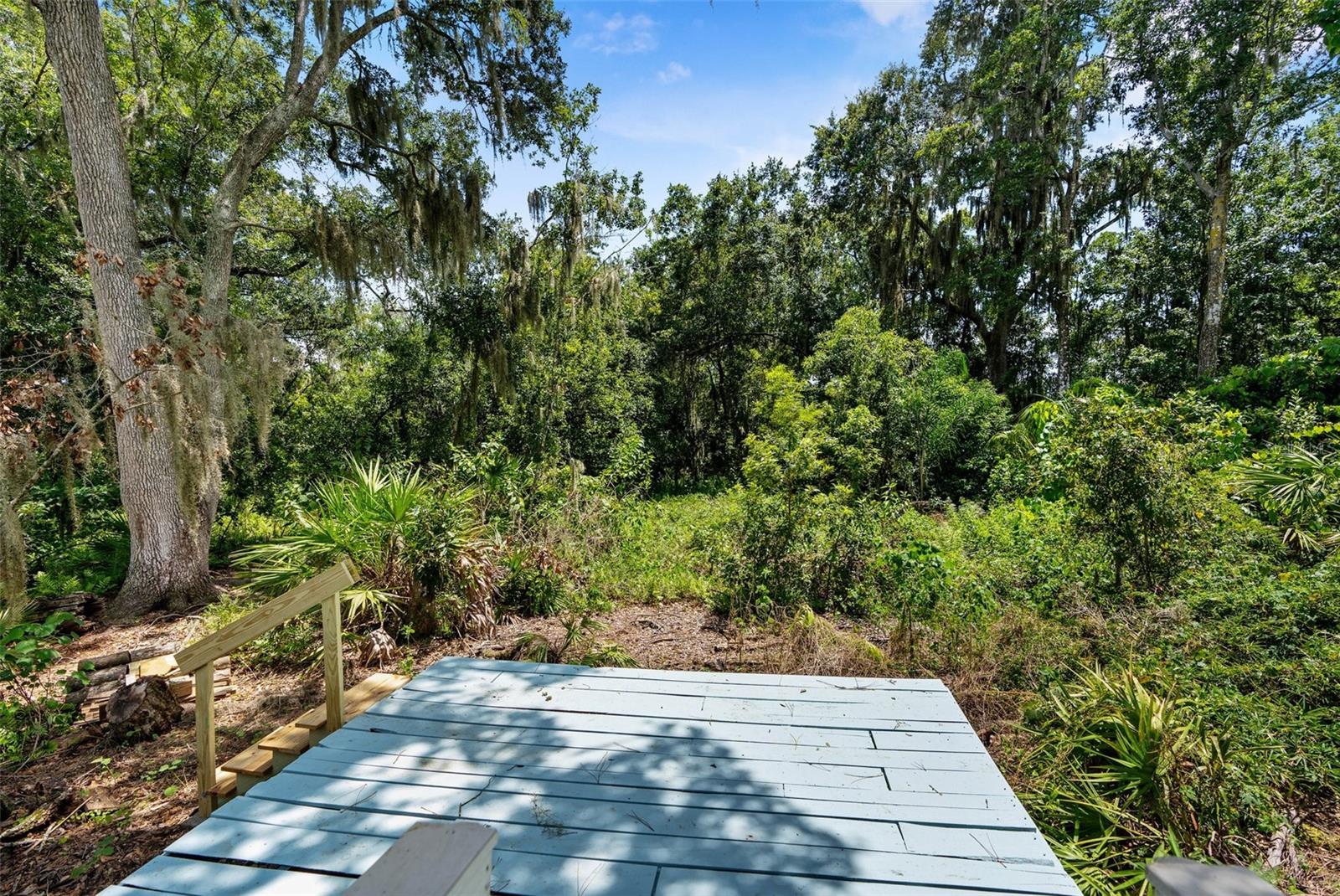 Back Deck with Private View of Conservation Homesite